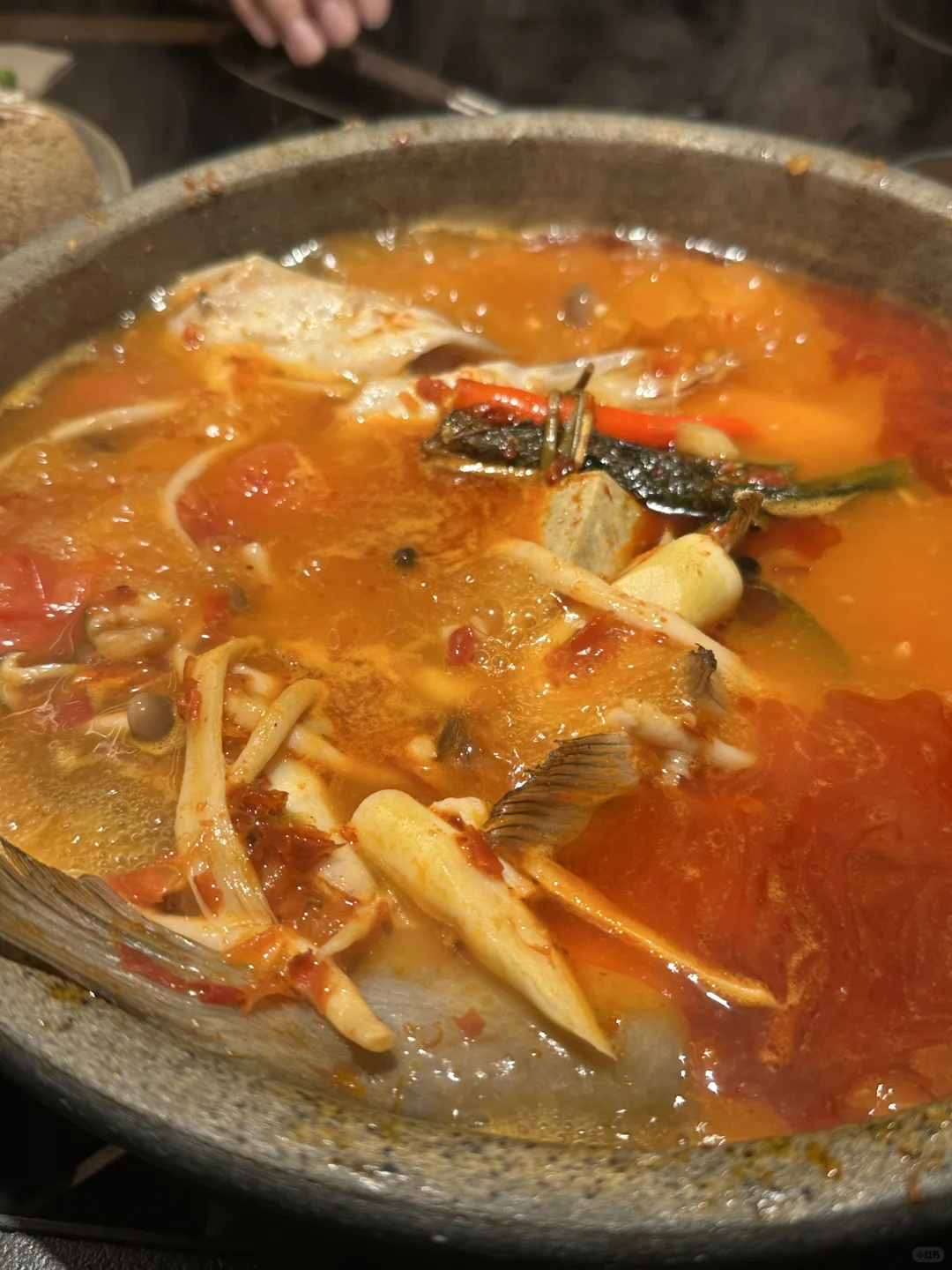 梅果｜新漂亮饭，太原最火的排队王点单攻略