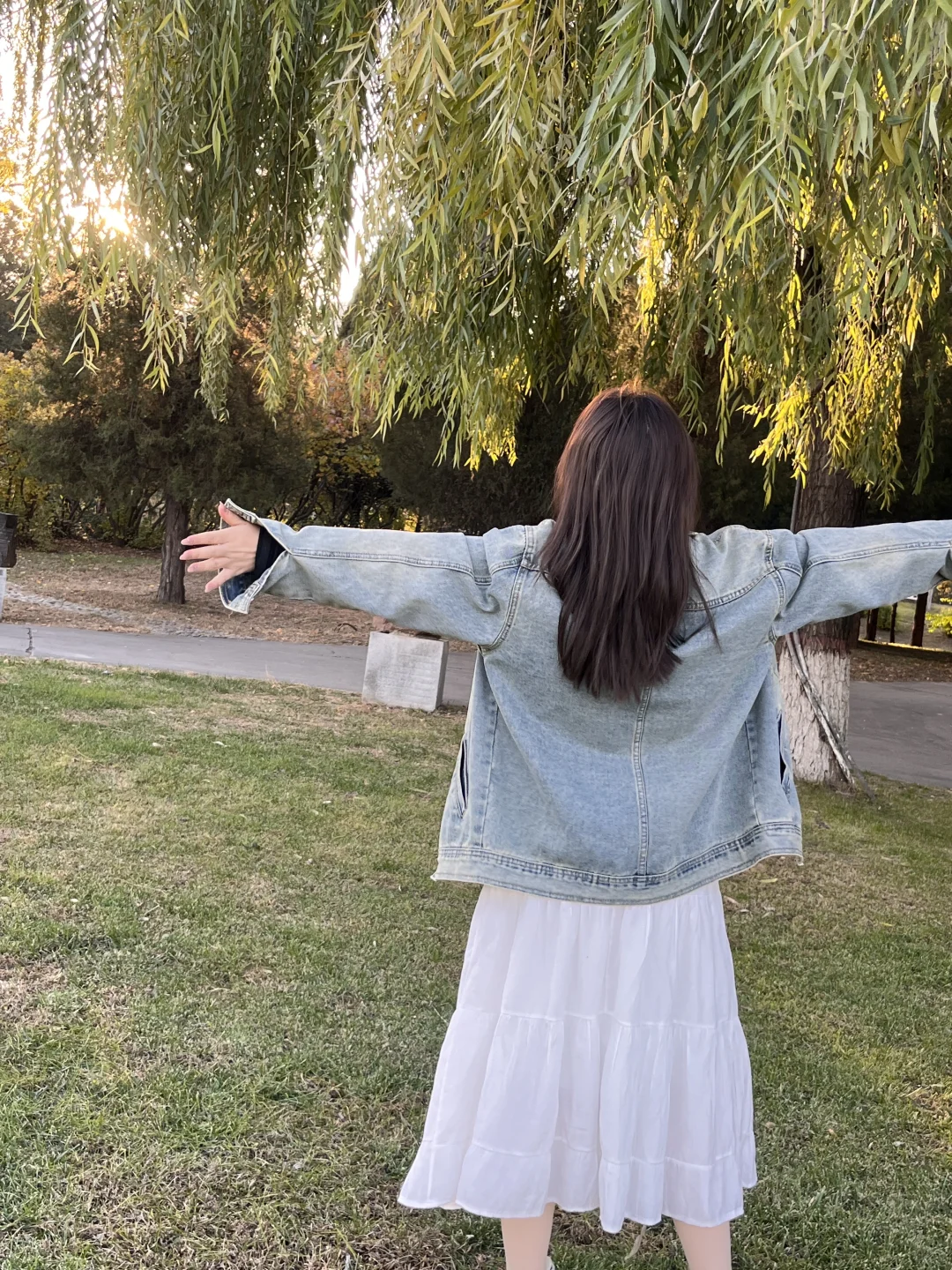 太原森林公园躺平实录｜阳光是最好的滤镜