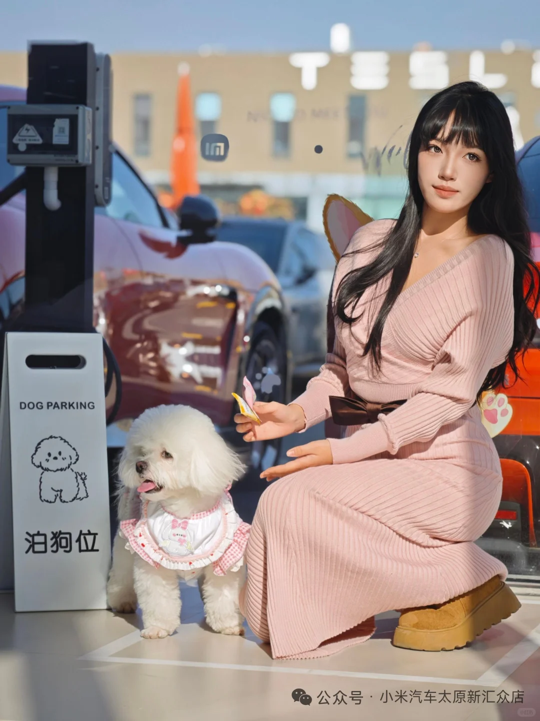 【太原限定·毛孩子的看车特权】