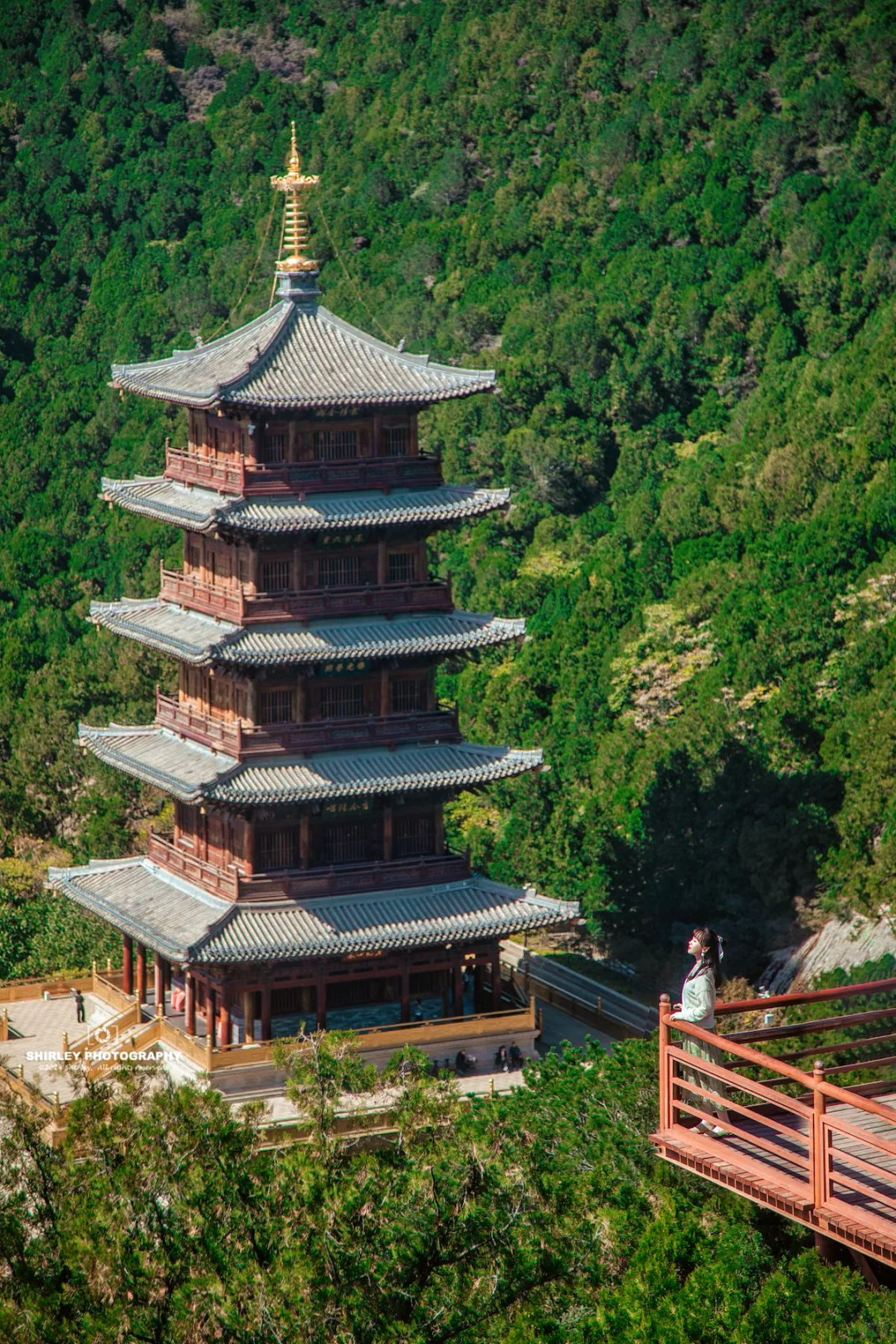 为了这18张照片📷我又双叒去了次山西太原