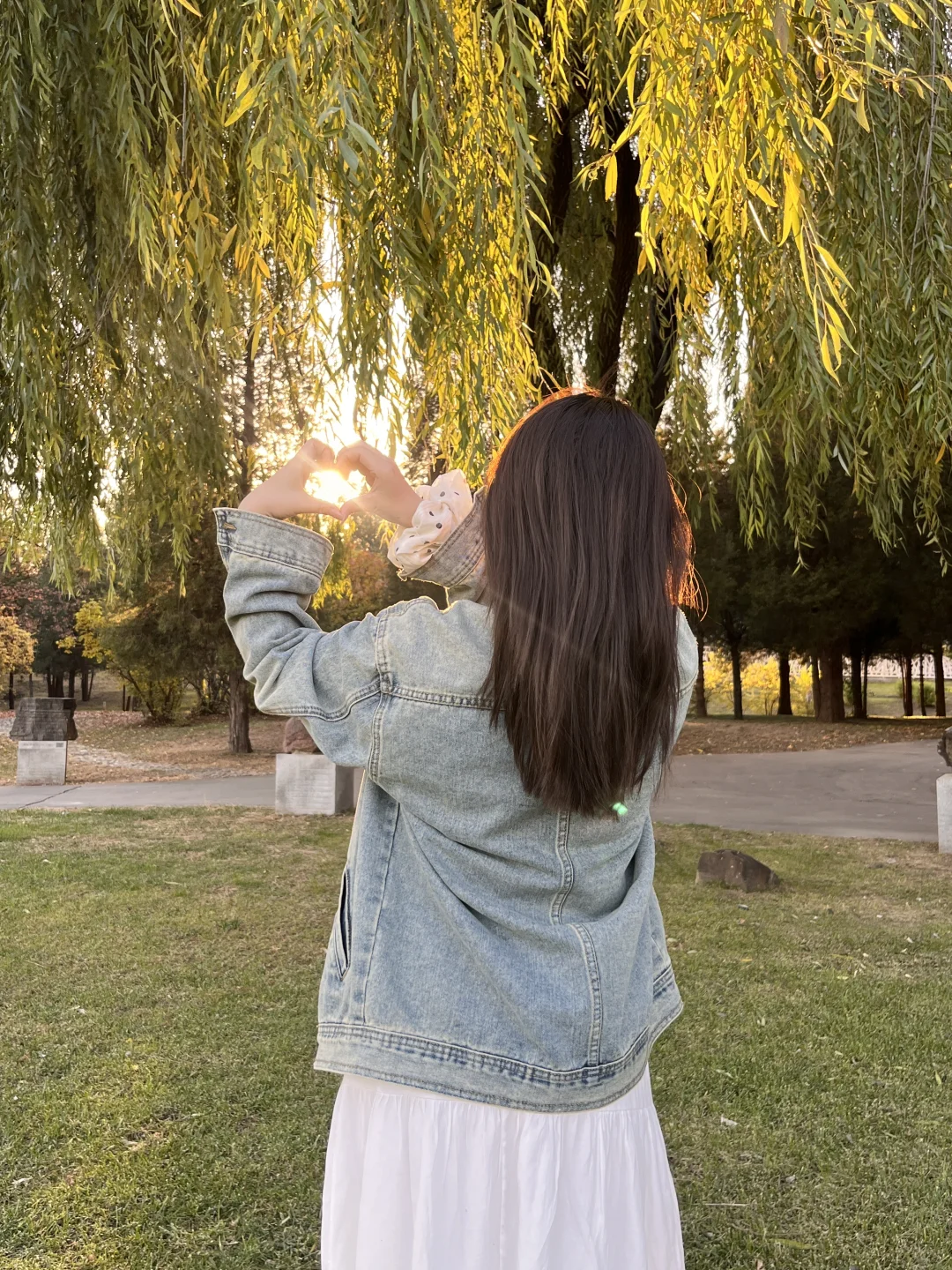 太原森林公园躺平实录｜阳光是最好的滤镜