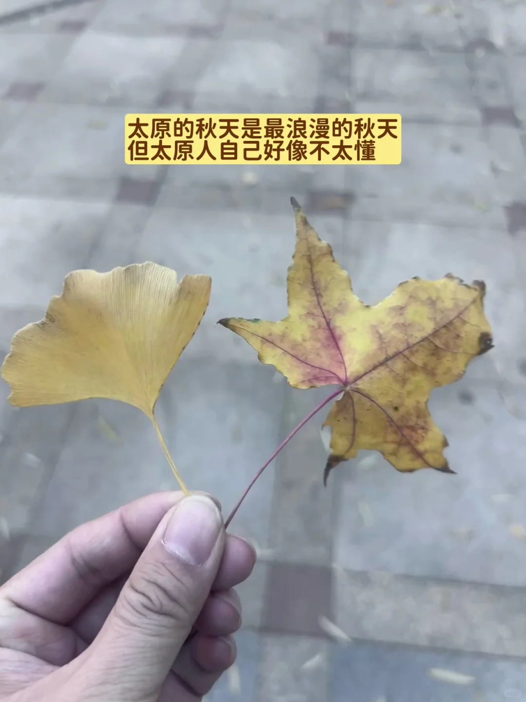 太原真的很好，但以后真的不会再回来了