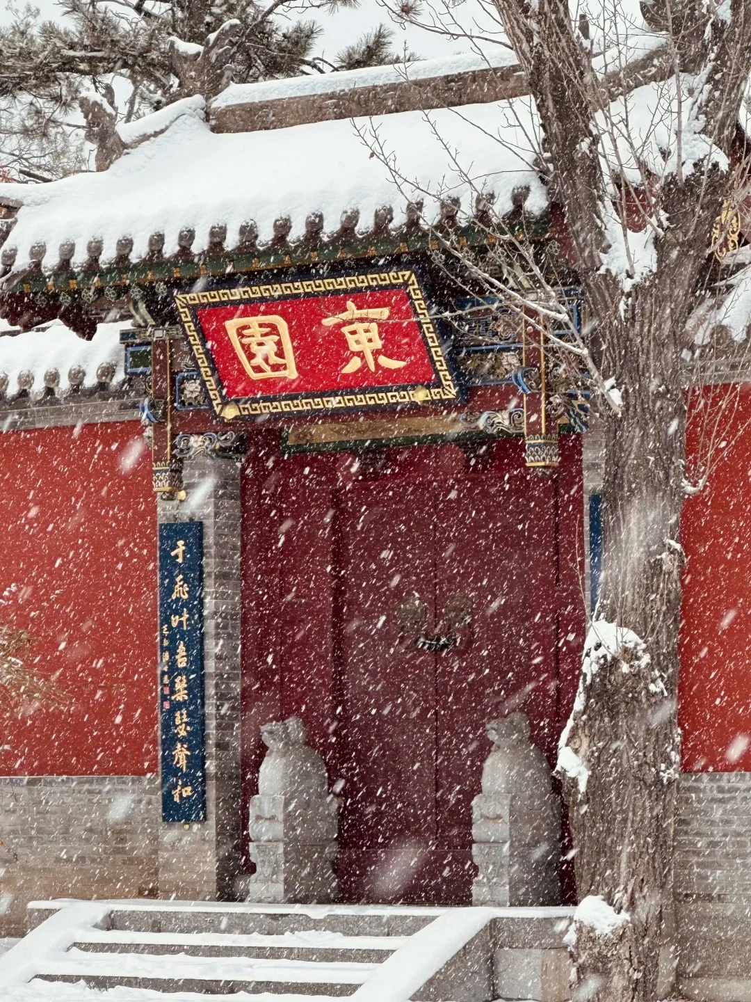 ❄️已经开始期待太原的雪景啦...