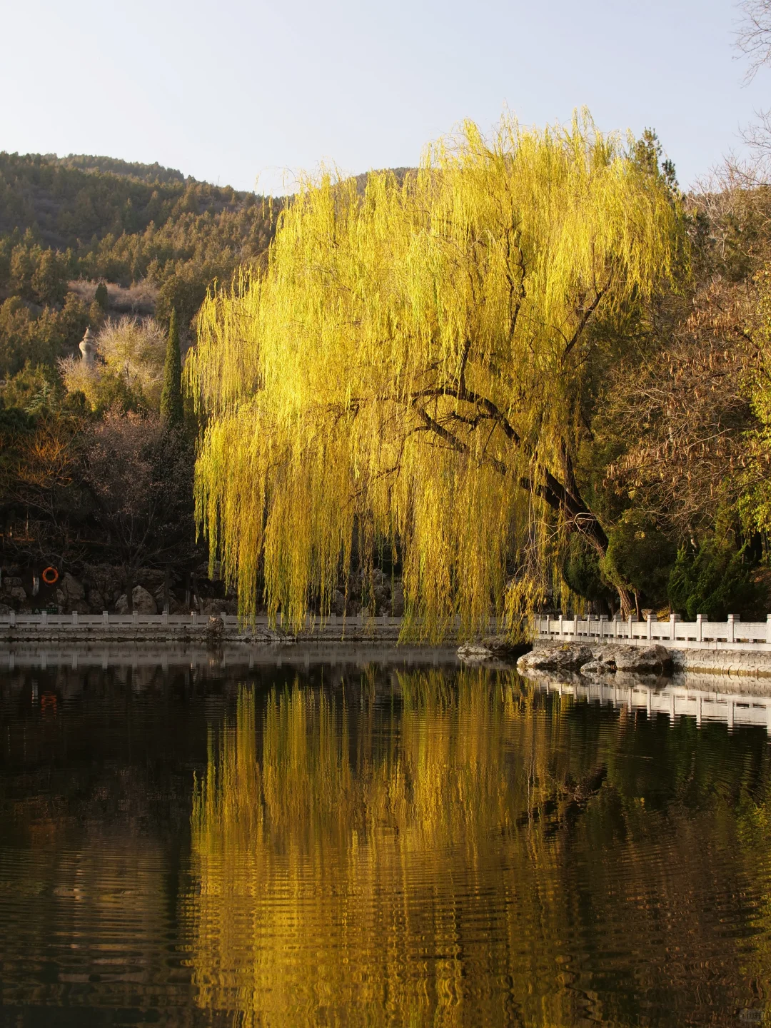 歌迷之城，欢迎顽童MJ116！