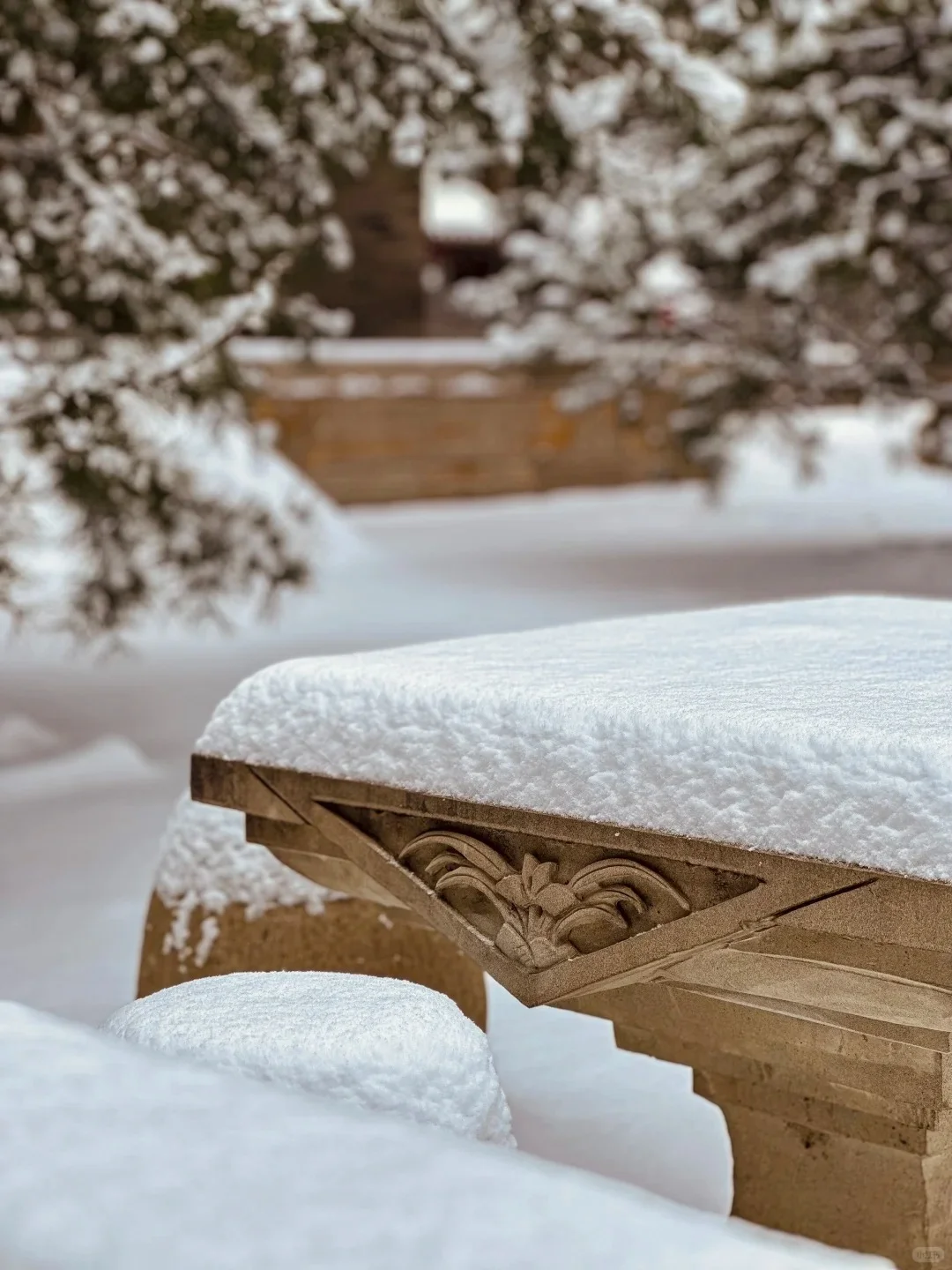 ❄️已经开始期待太原的雪景啦...