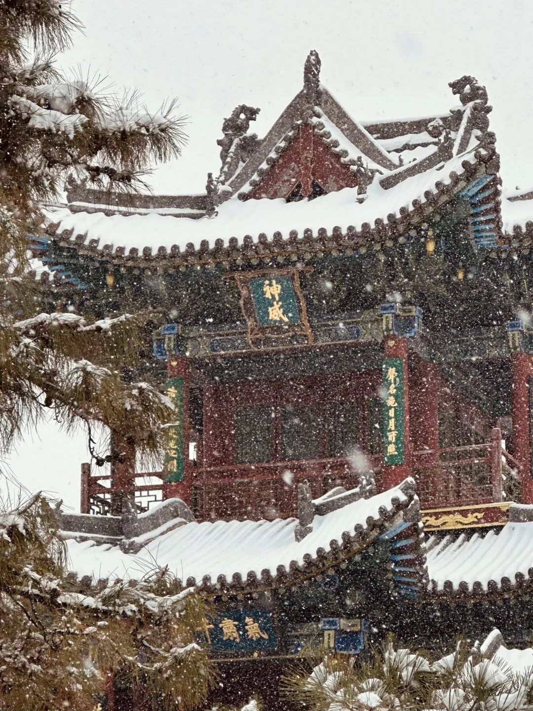 ❄️已经开始期待太原的雪景啦...