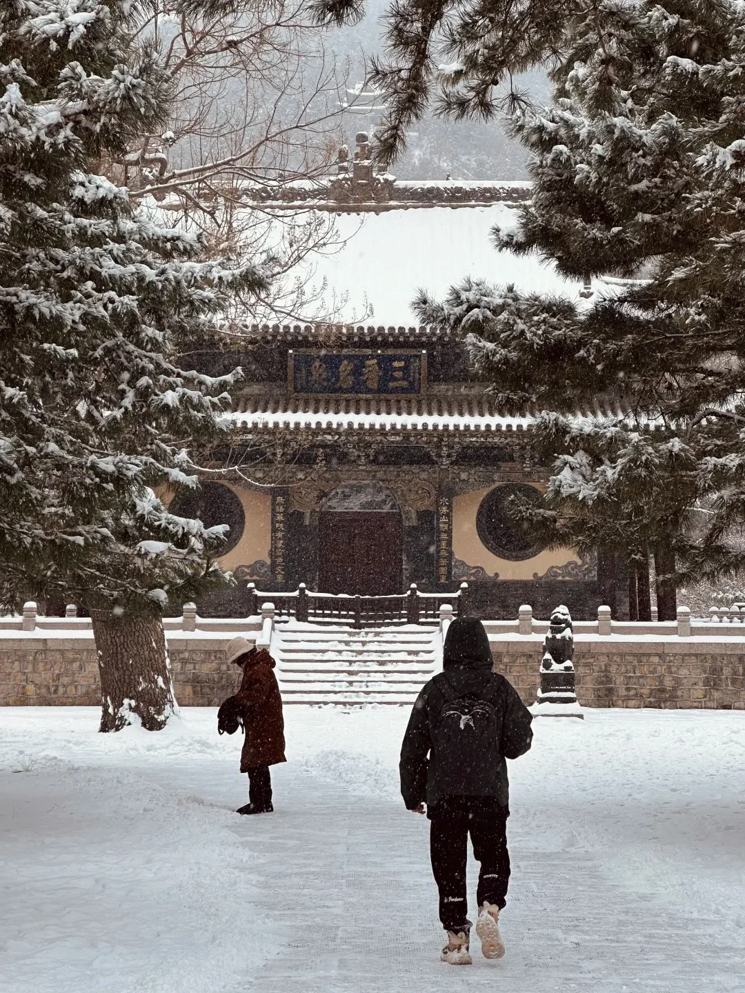 ❄️已经开始期待太原的雪景啦...