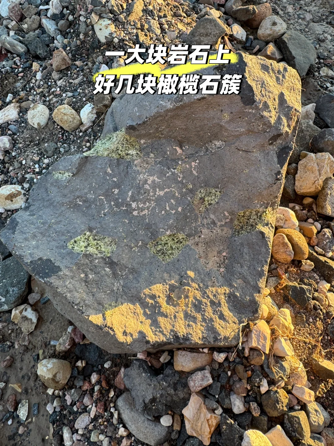 大同火山带灰泉子村捡玛瑙 还有意外发现💎
