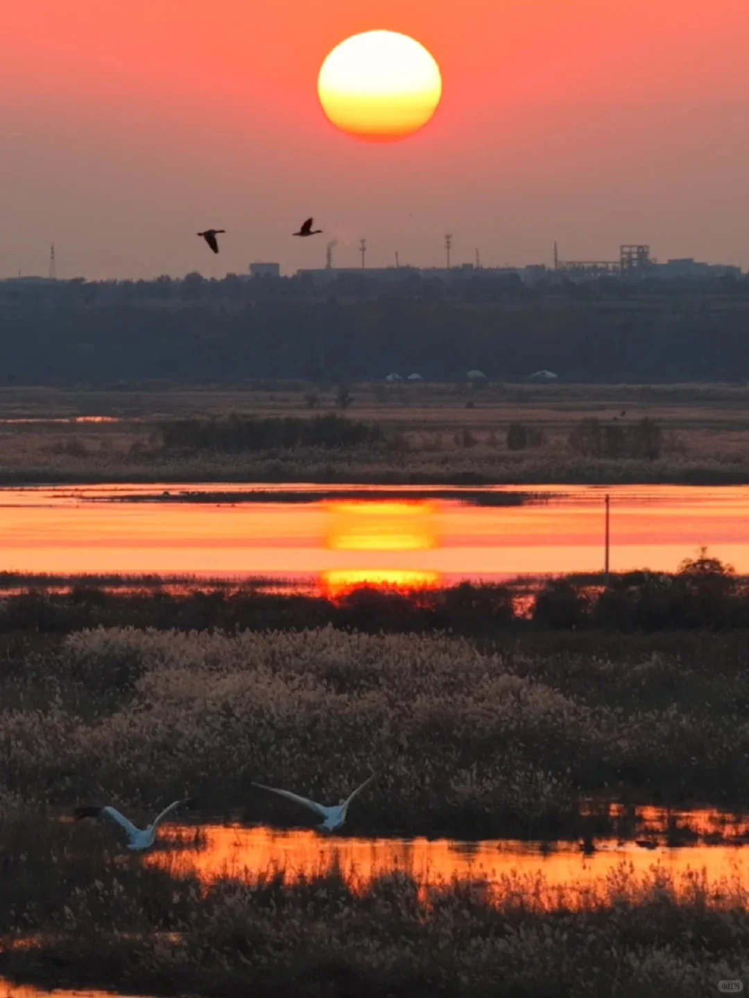 大同成功入选！为山西唯一入选城市～