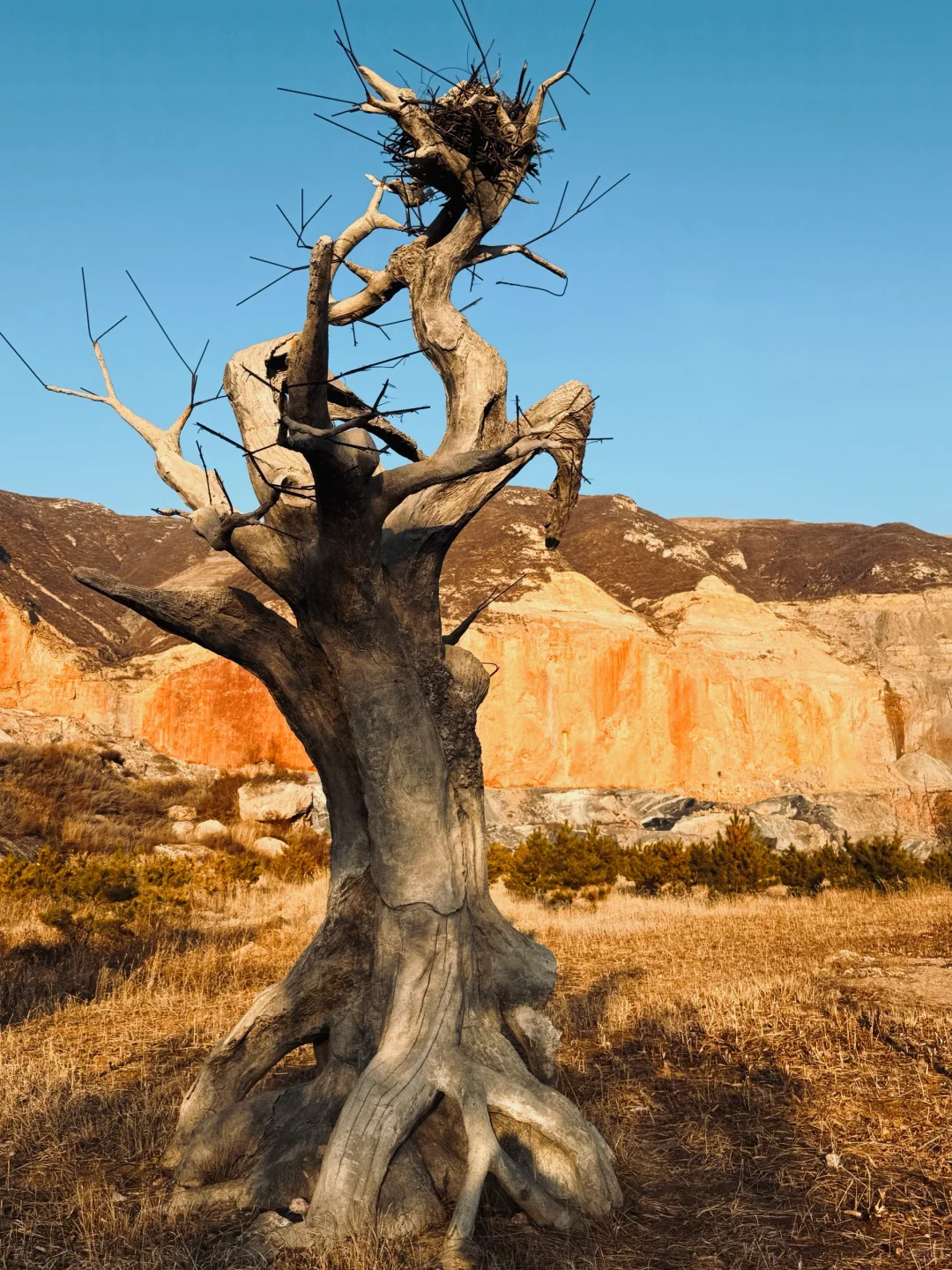 在大同｜也可以看到日照金山🏔️
