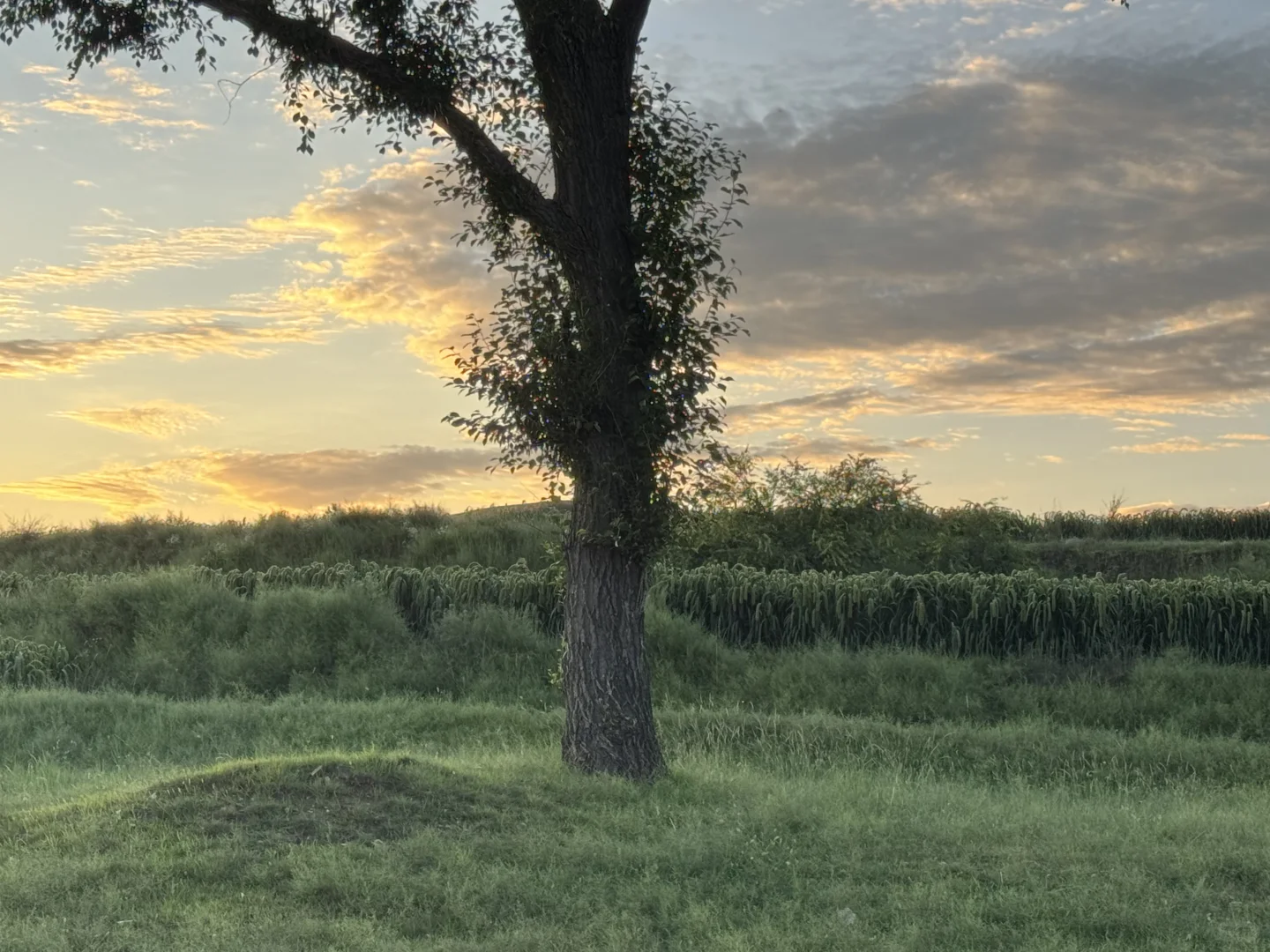 大同火山带灰泉子村捡玛瑙 还有意外发现💎