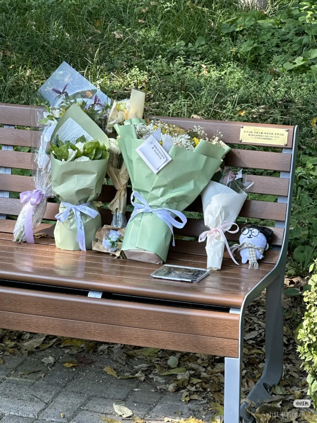 关于世界各地大同纪念长椅的一些想法和建议