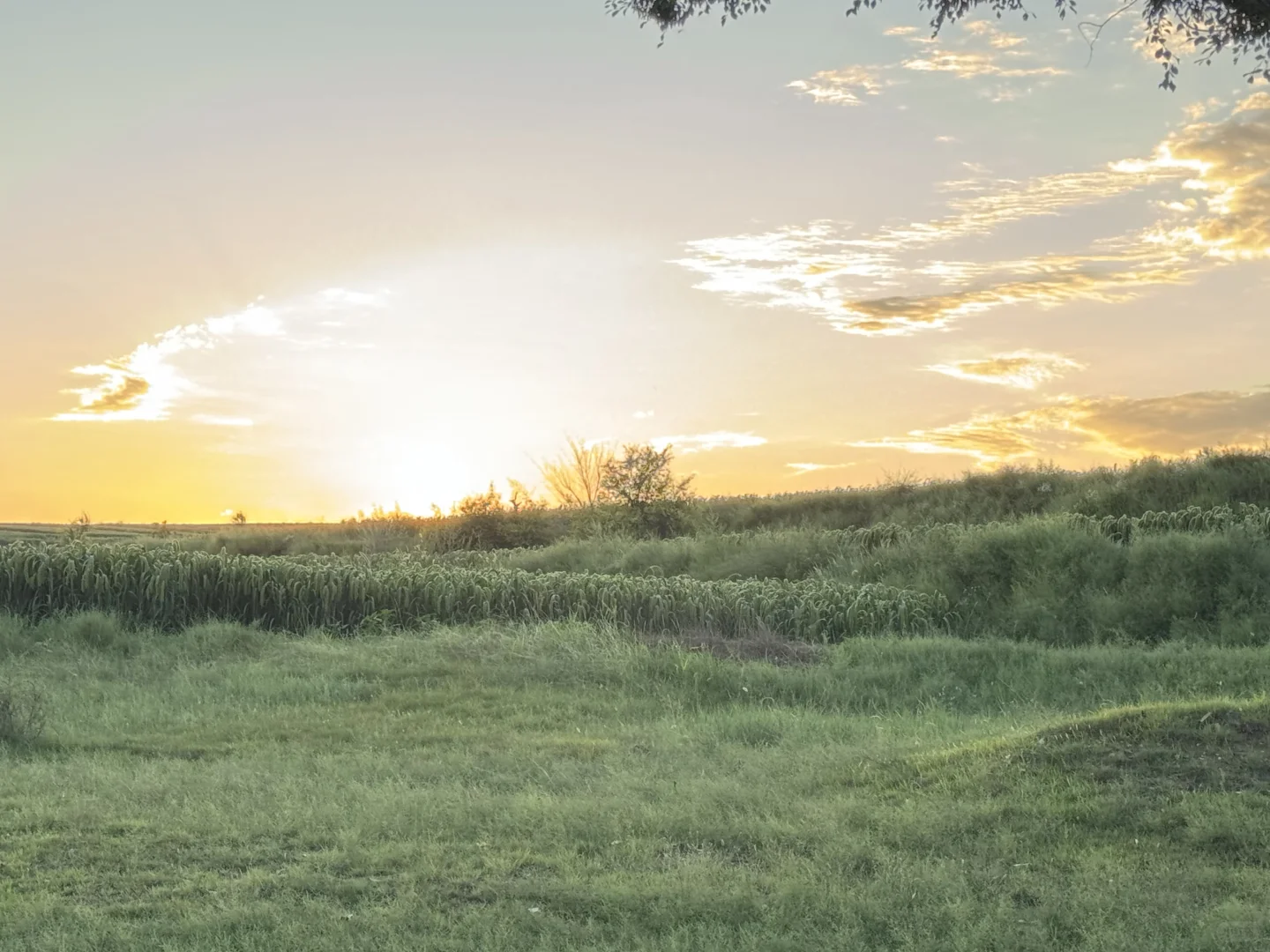 大同火山带灰泉子村捡玛瑙 还有意外发现💎