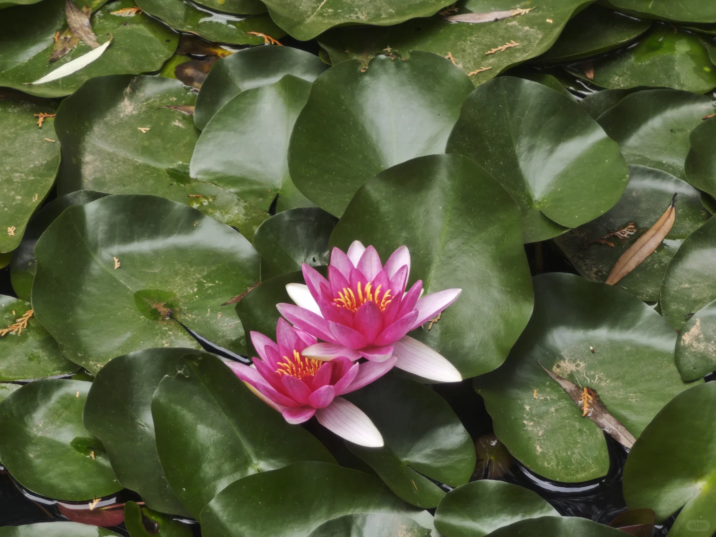 山西长治——观音堂