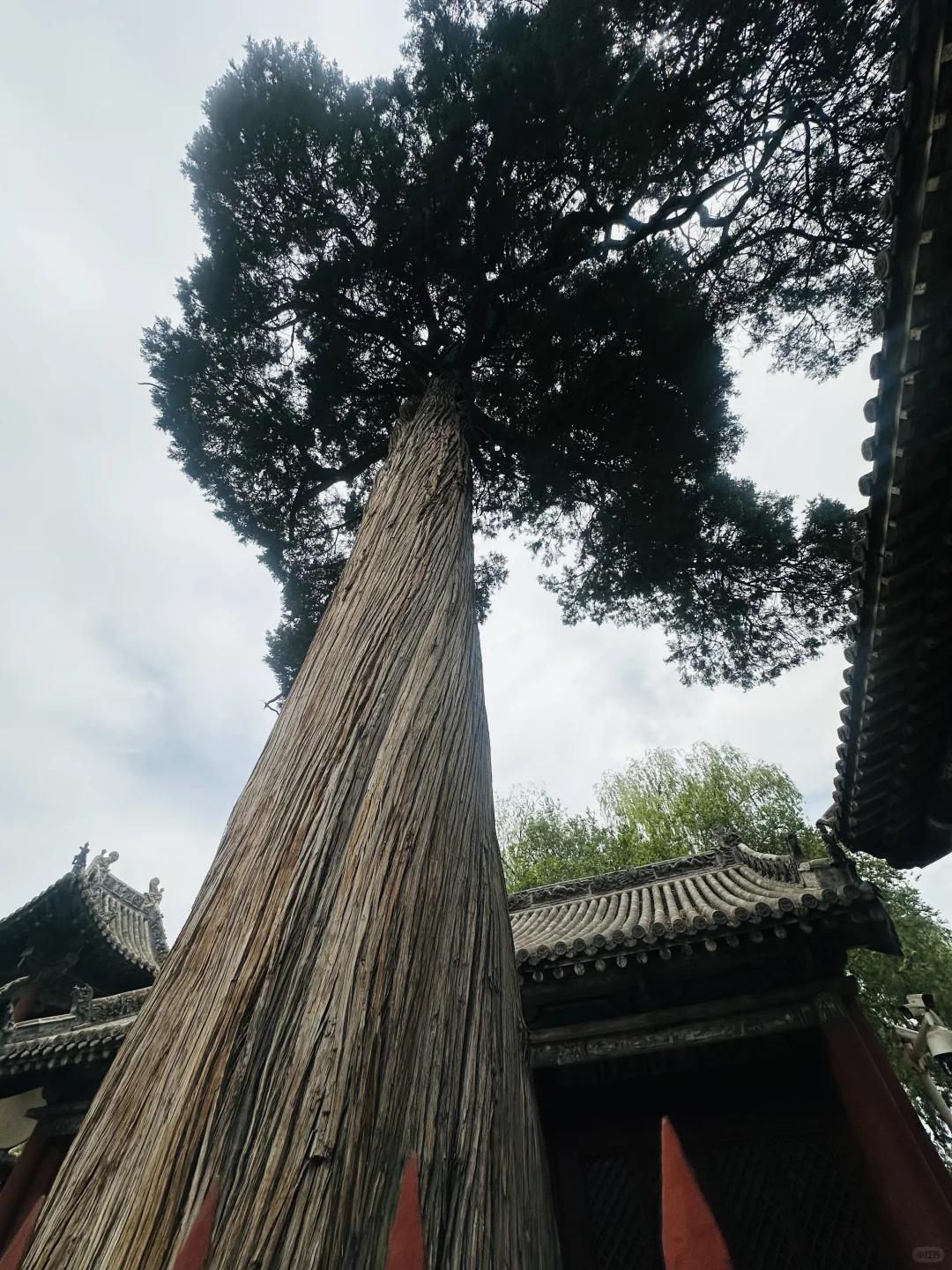 ⛳️ 第11站「山西•长治」24H周末游/吃玩全包🥊