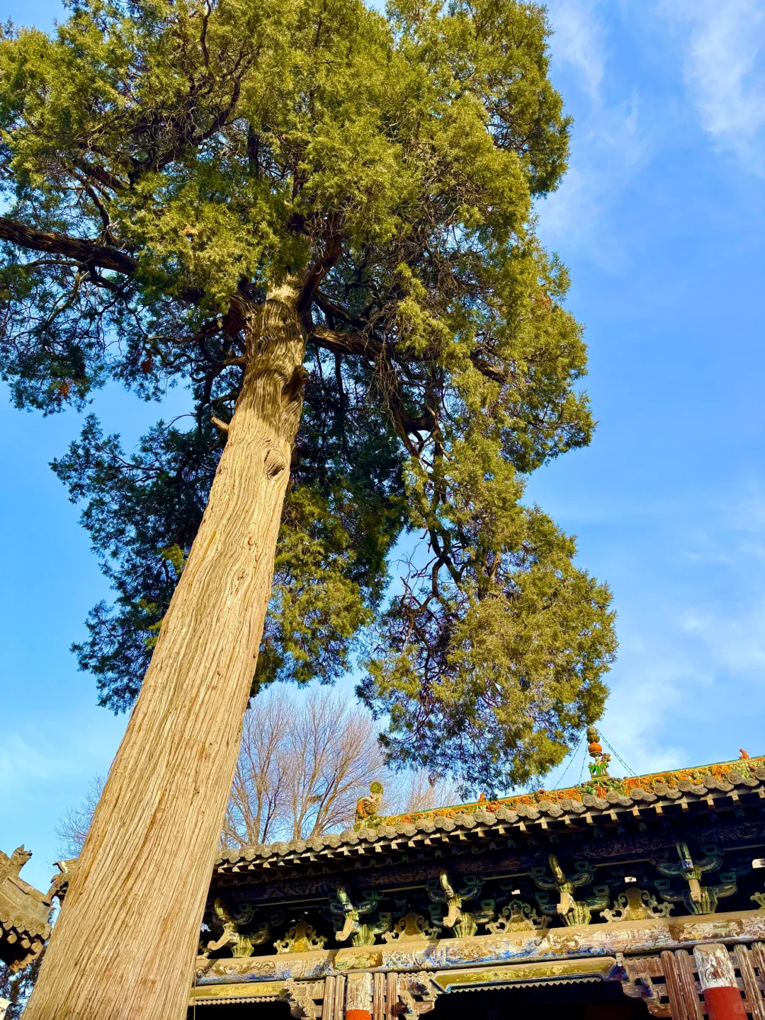 长治观音堂｜比小西天更震撼的地方出现了