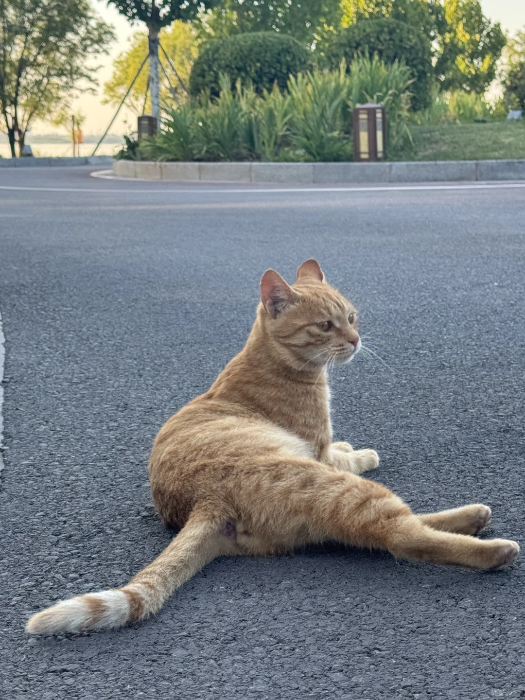 长治·外地懒人一日游计划