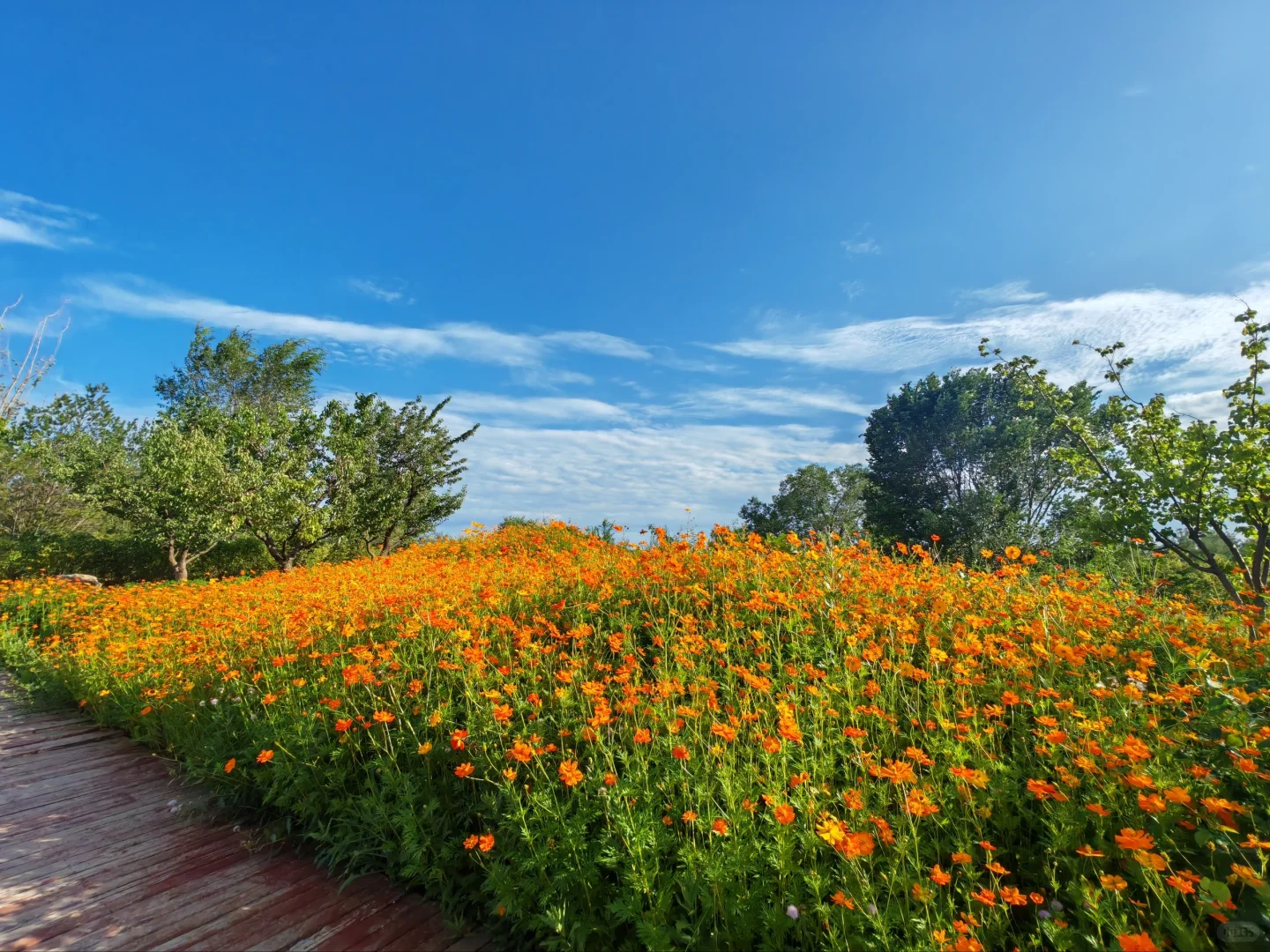 长治，不会再来第二次！