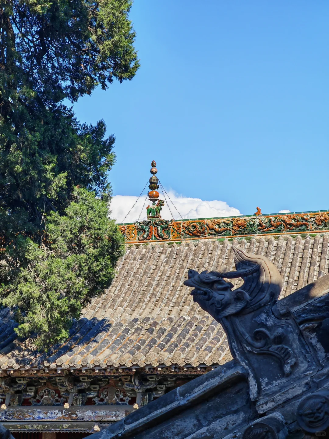 山西行｜舌尖狂欢+古建美学双重暴击！