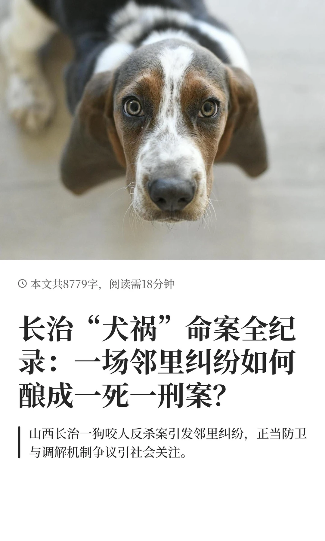 长治“犬祸”命案全纪录：一场邻里纠纷如何
