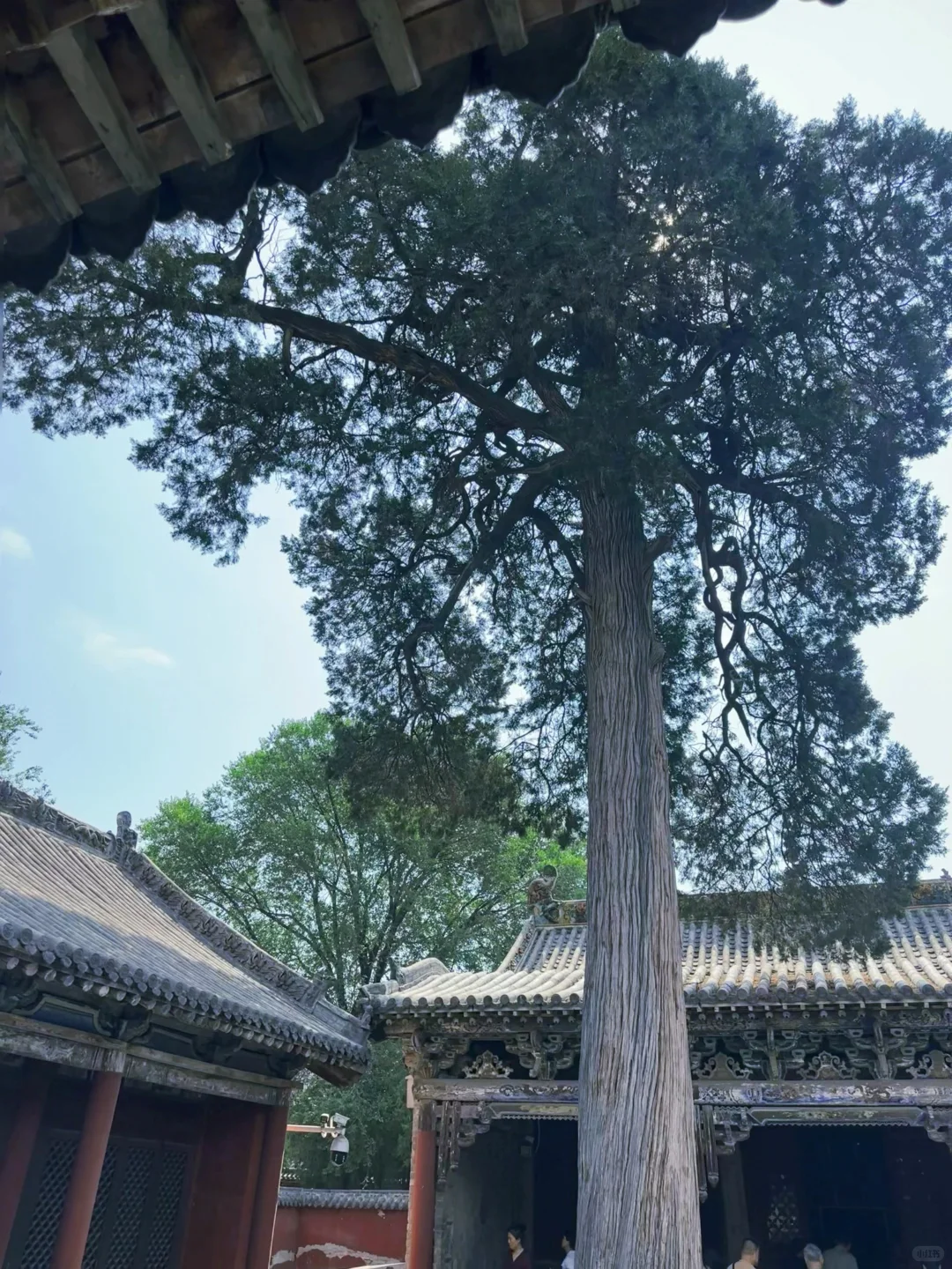 长治📍 被低估的绝美古建秘境——观音堂✨