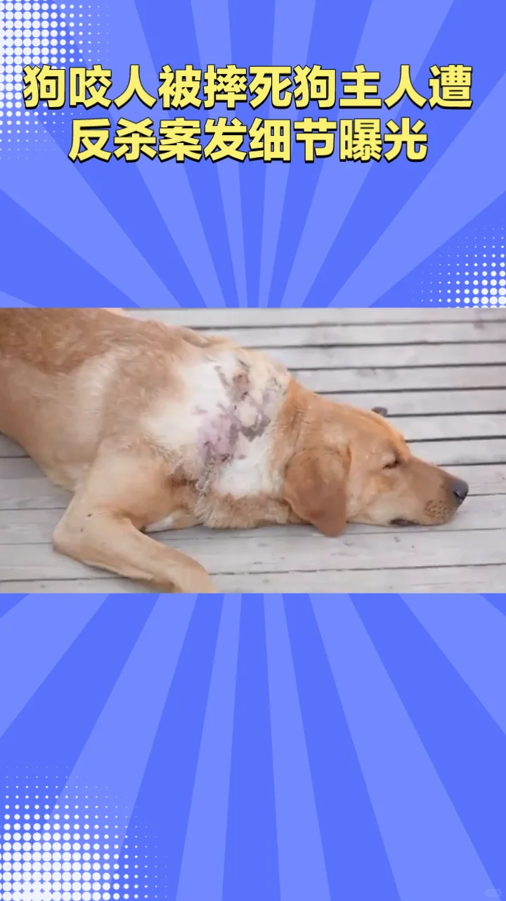 狗咬人被摔死狗主人遭反杀案发细节曝光