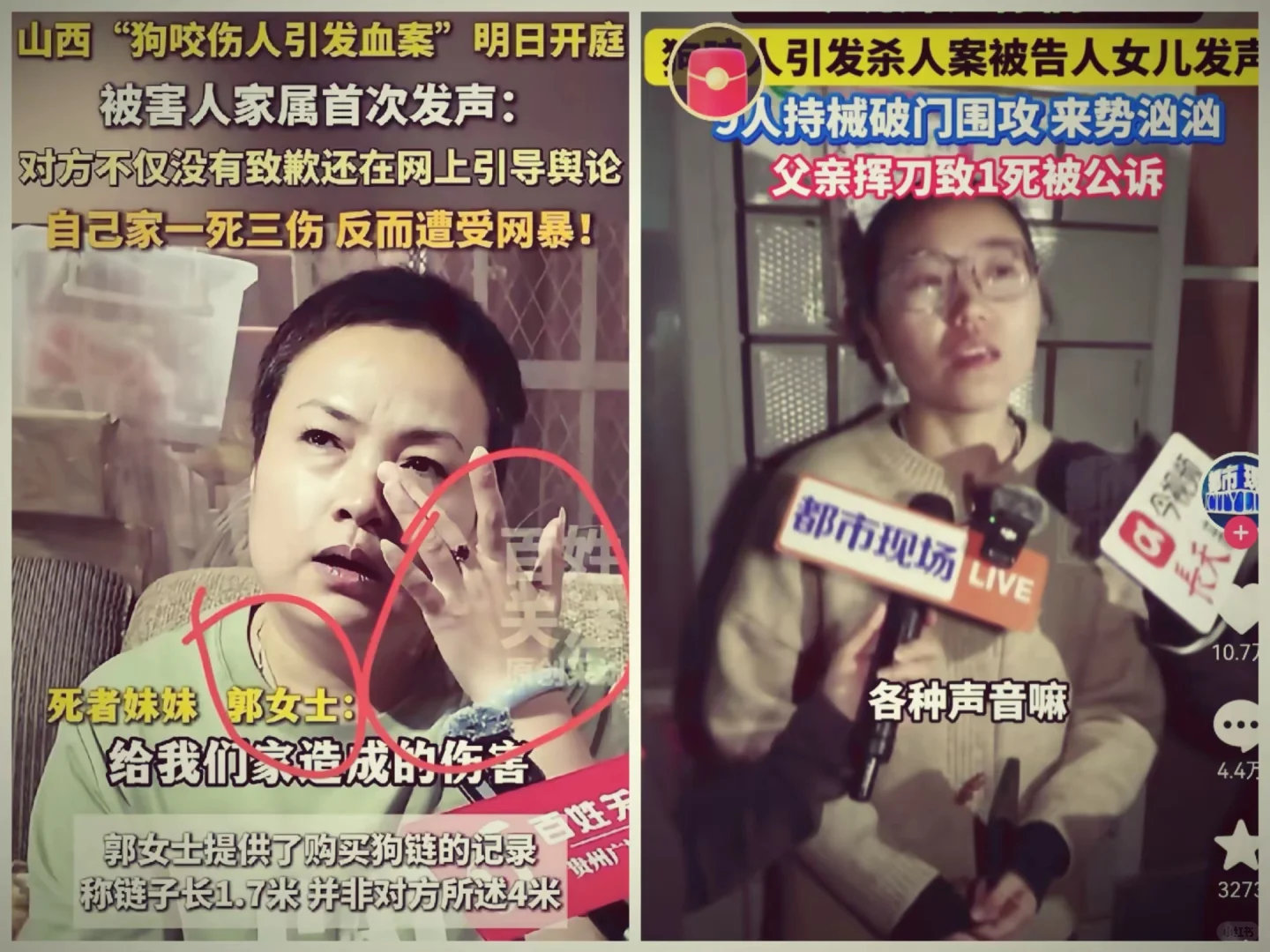 山西狗咬人引发亡人血案事件