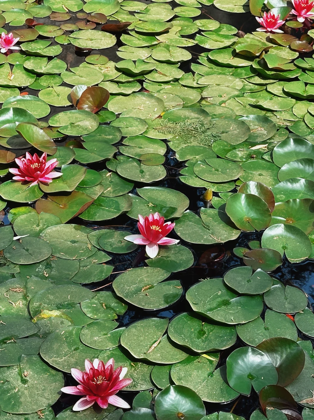 长治📍 被低估的绝美古建秘境——观音堂✨