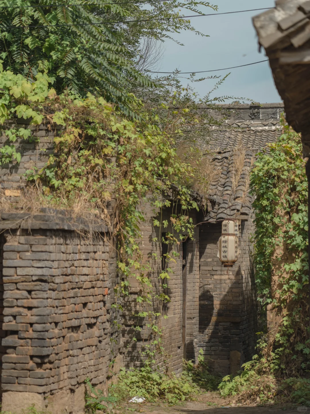 今年去过最冷门的古镇，很怕它会🔥