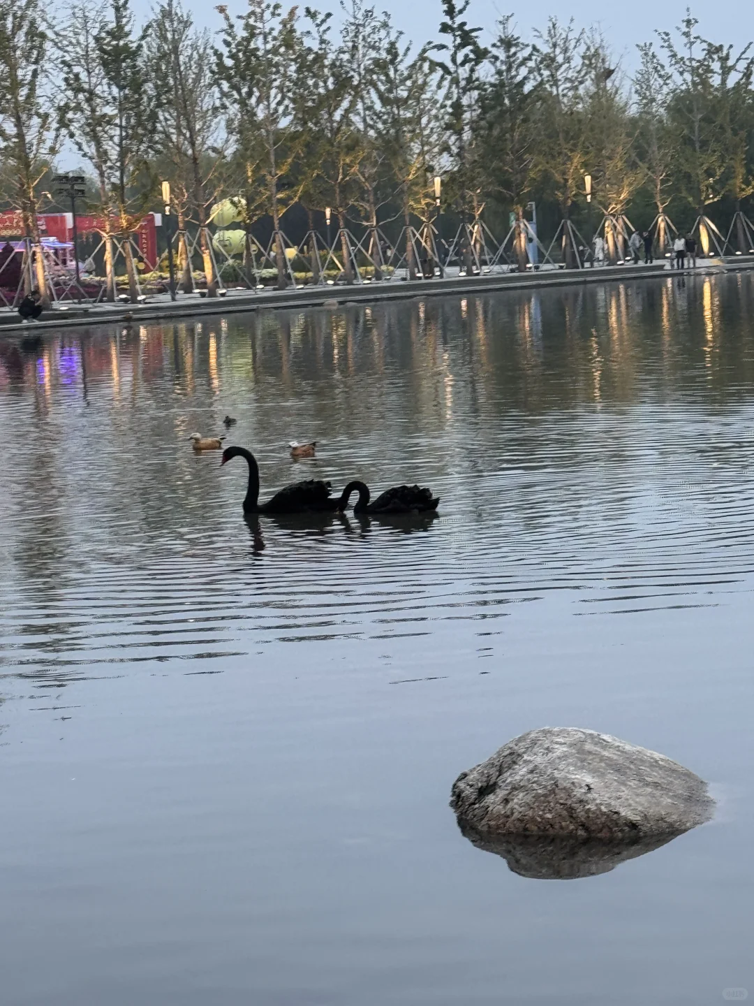 📍太原·植物园