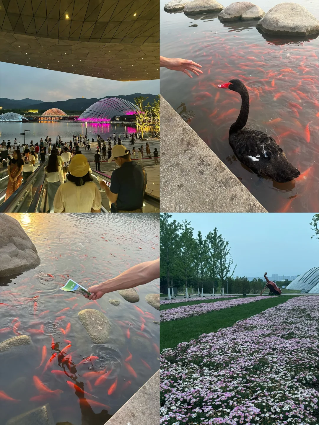 太原📍两天一夜 citywalk，吃喝逛打卡攻略！！