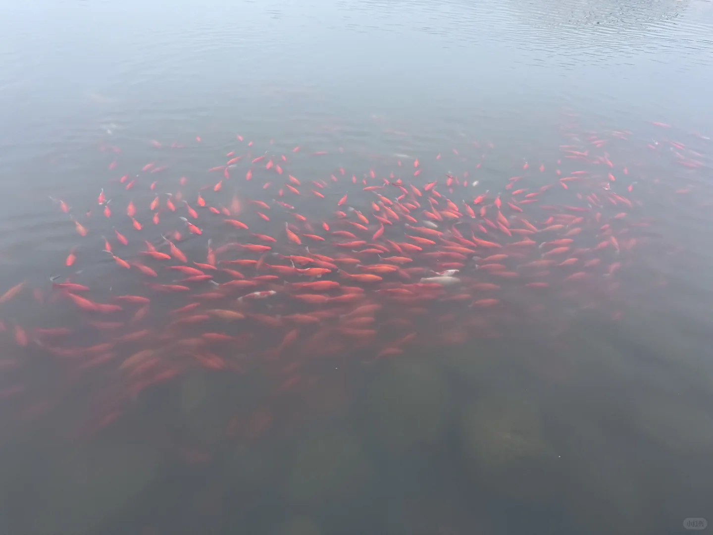 📍太原·植物园