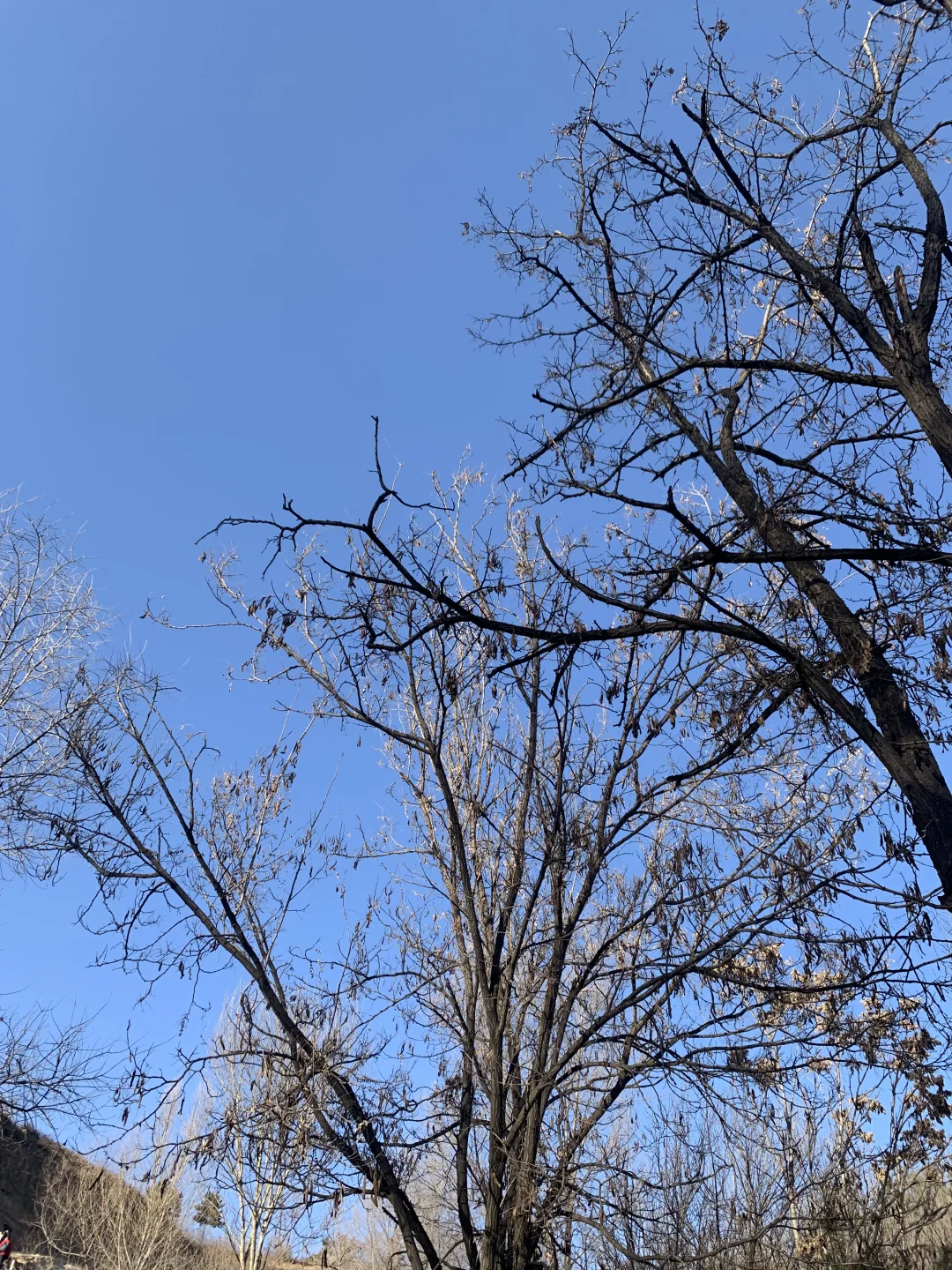 有幸抵达了大同