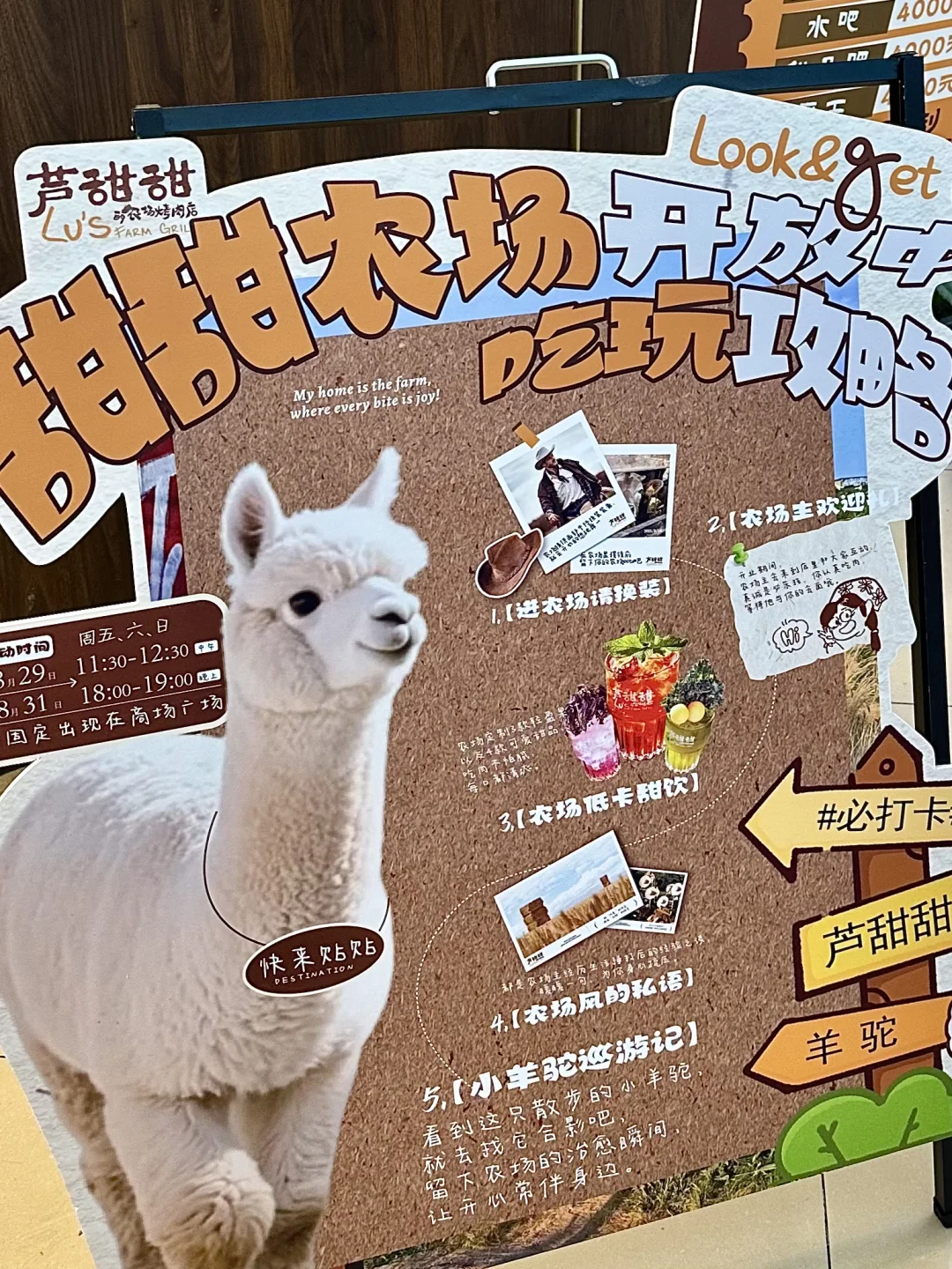 大同新店｜逃往农场里吃肉噜！！！