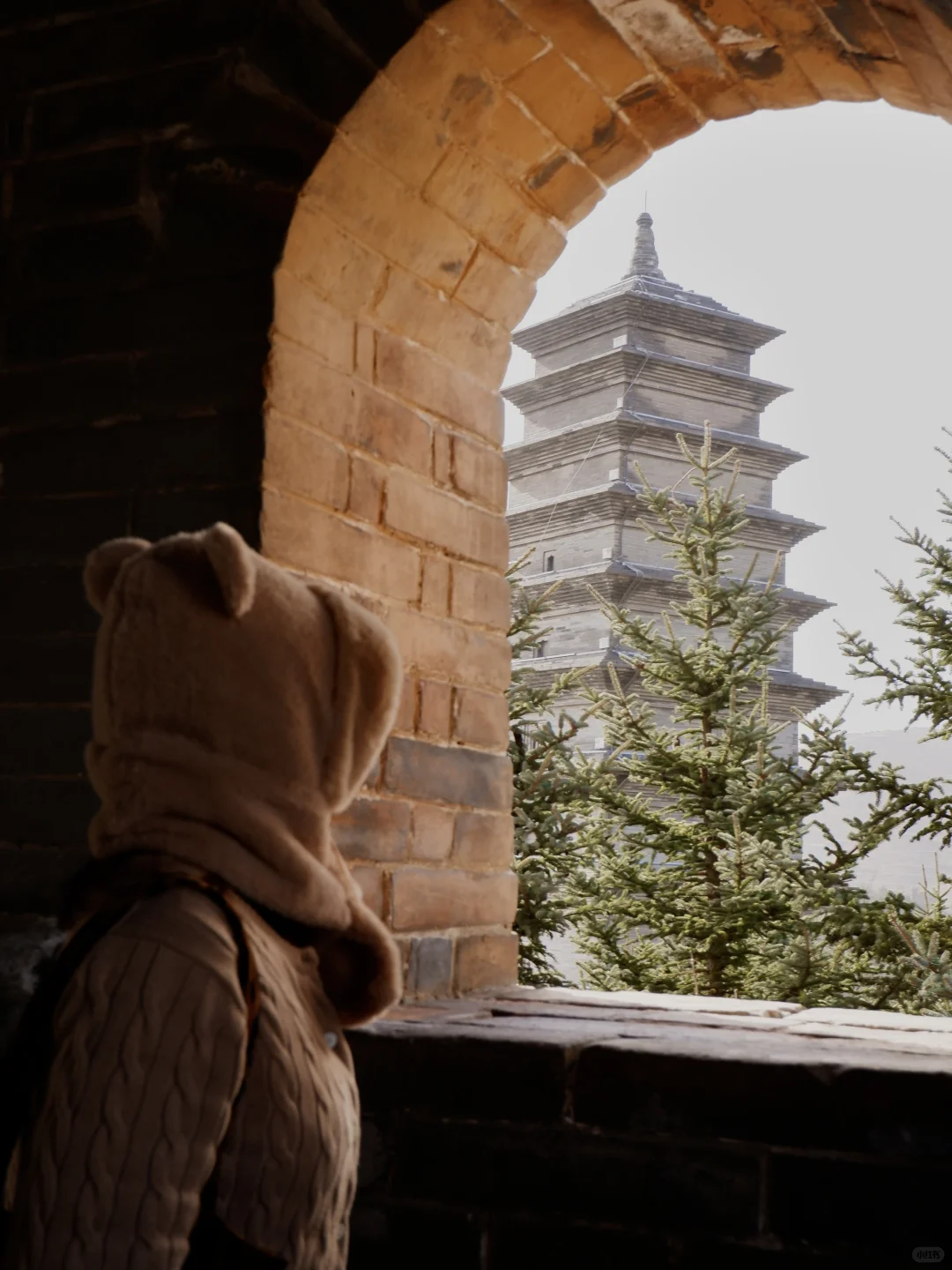 大同｜别踩坑！闺蜜连夜喊我出的保姆级攻略