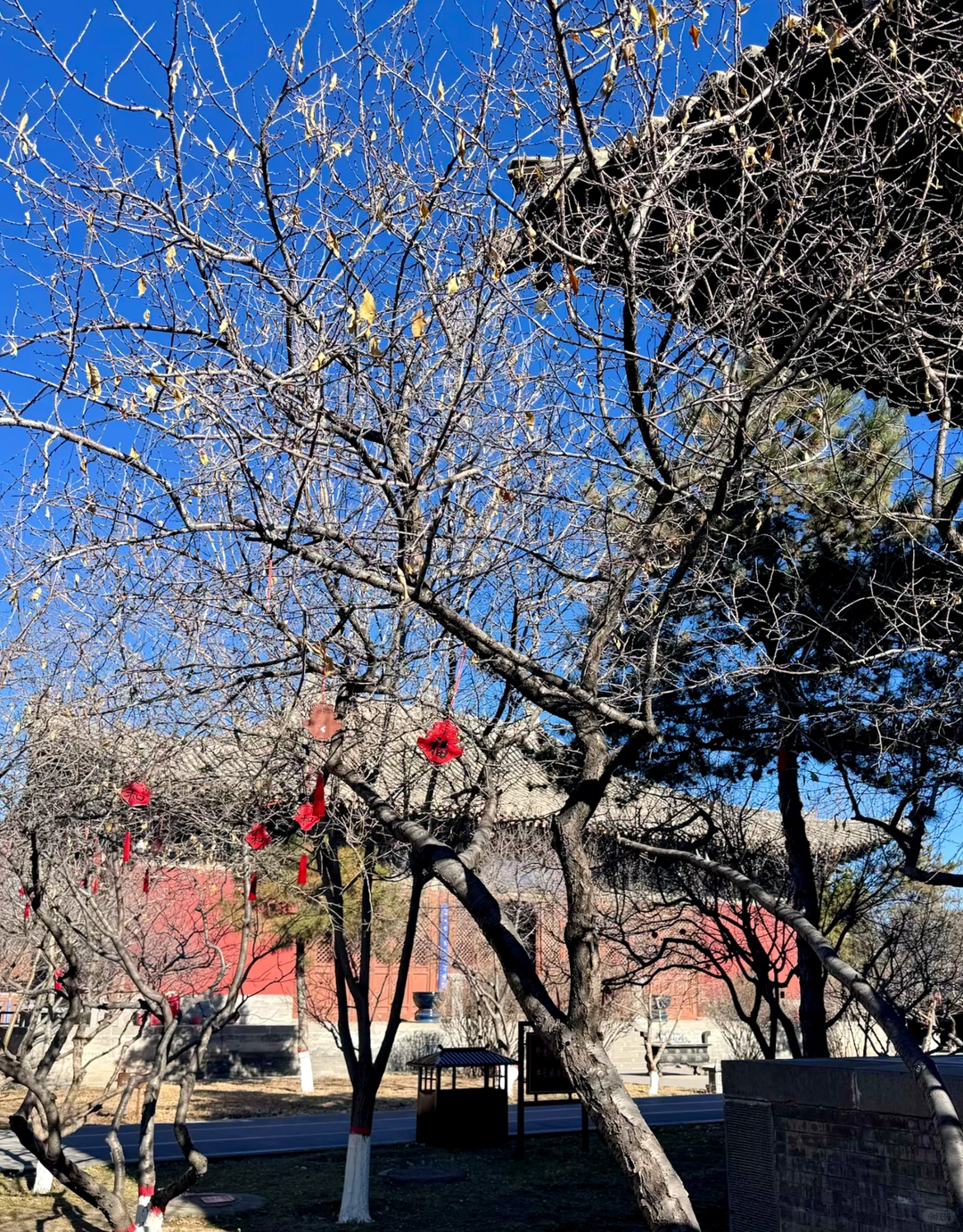 11月17 寒冬暴击…大同古城，巨冷…