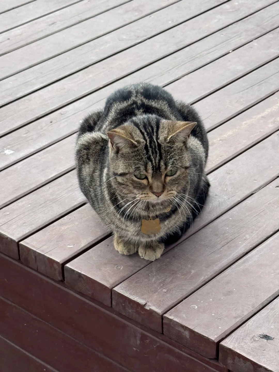 11月17 寒冬暴击…大同古城，巨冷…