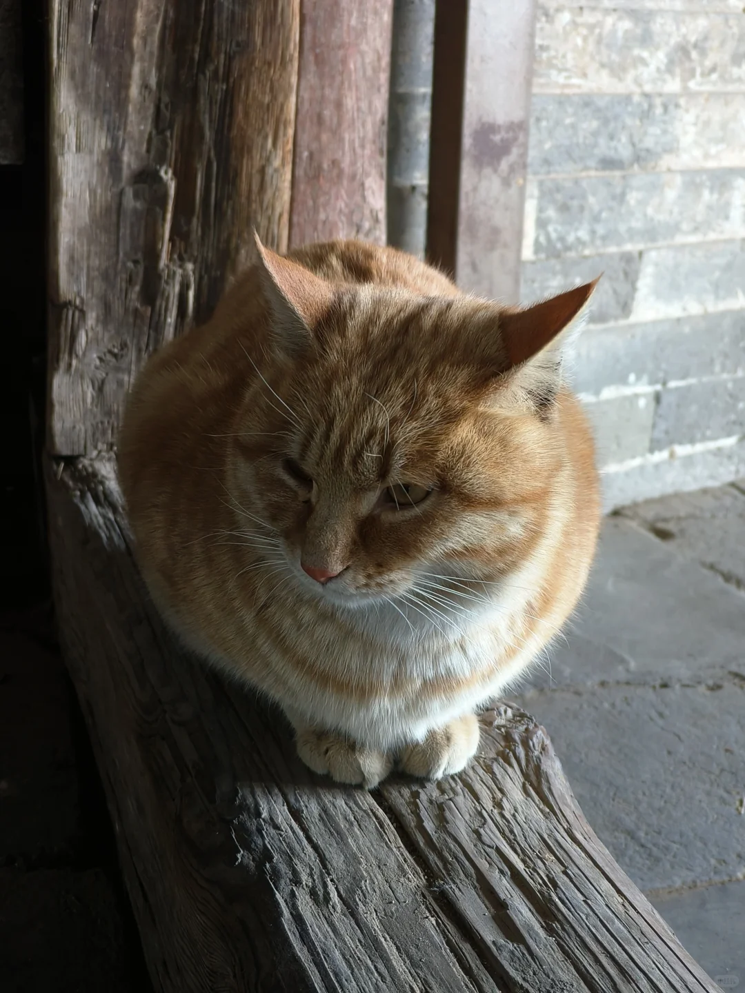 北京去大同三日之行（非特种兵版）