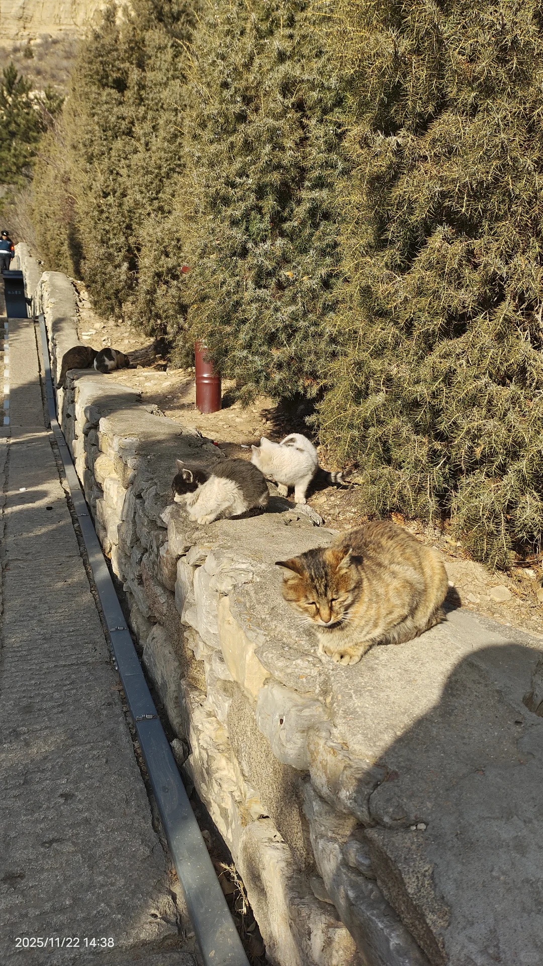 北京→大同，周末2.5天超详细行程&消费