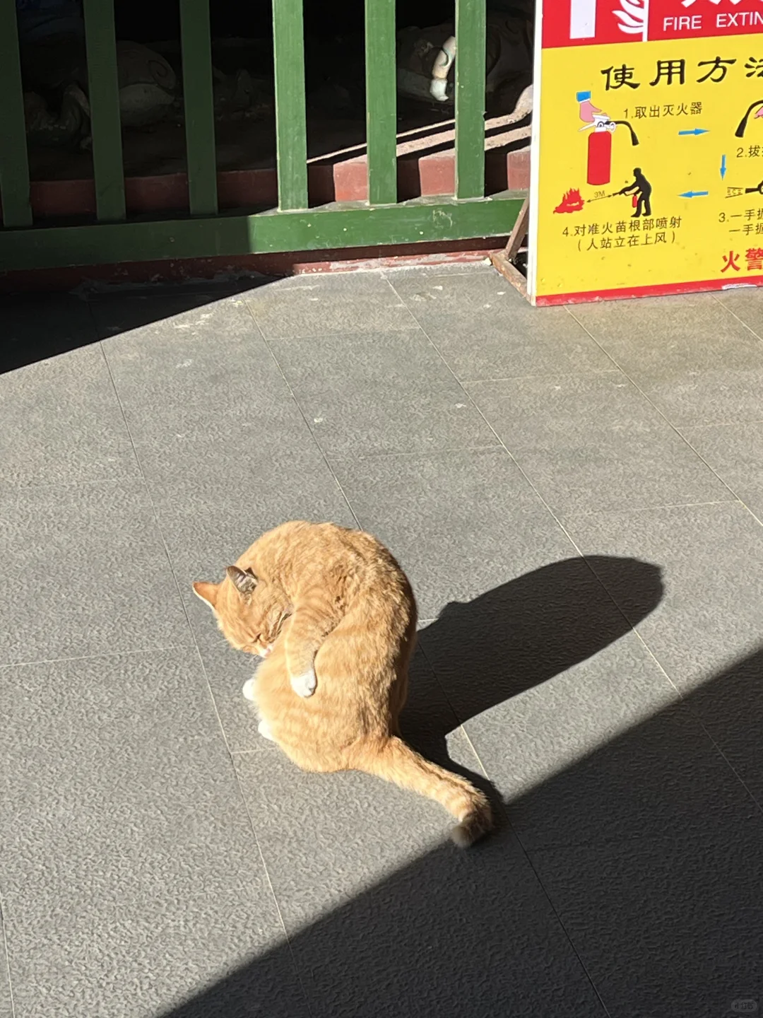 大同好冷！！！