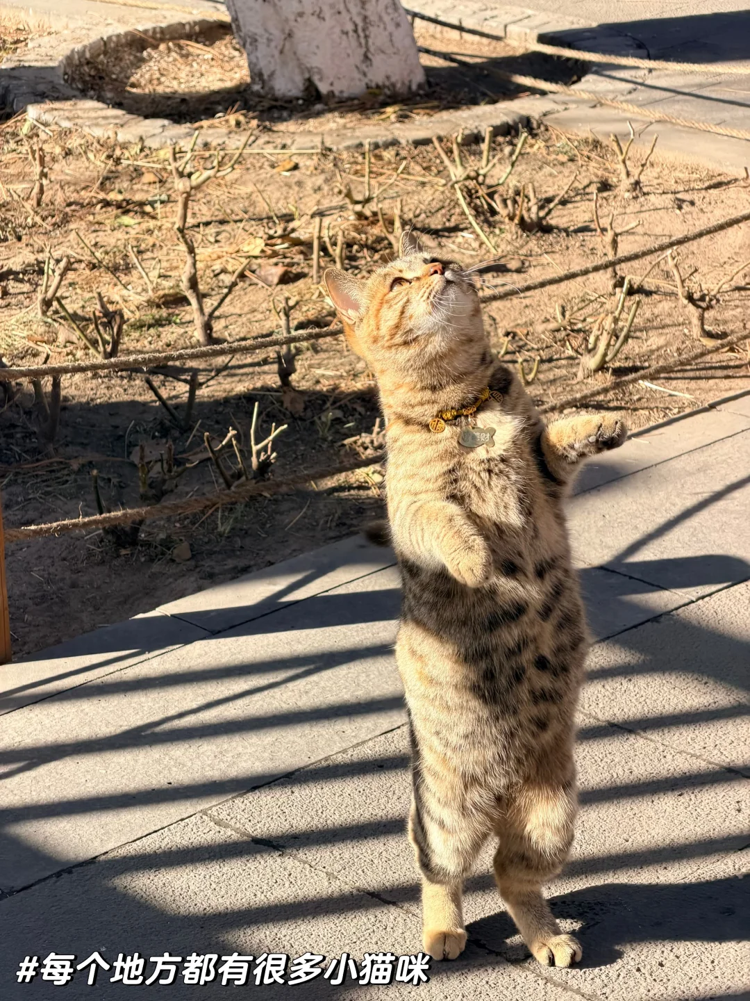 大同的三天，一场与历史的对话
