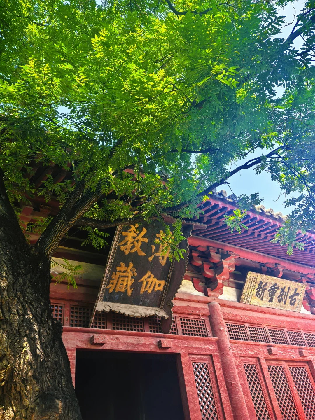 大同地陪小记＋被比我小的单主叫小妹妹