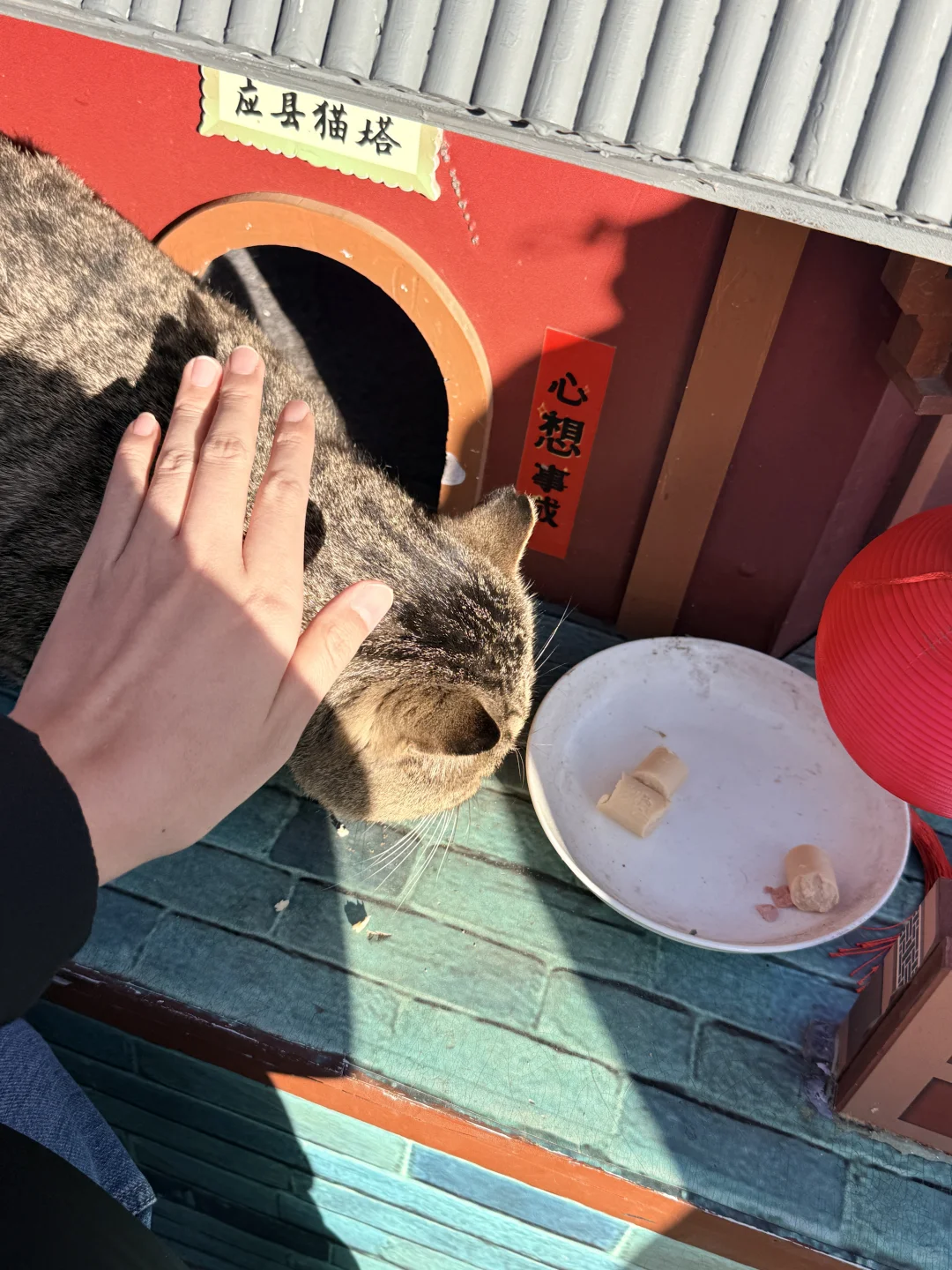 11.13大同悬空寺-应县木塔一日游（附攻略）