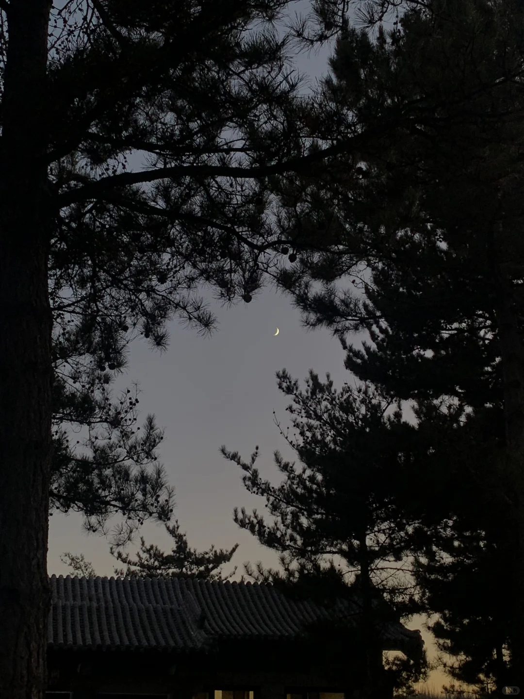 有幸抵达了大同