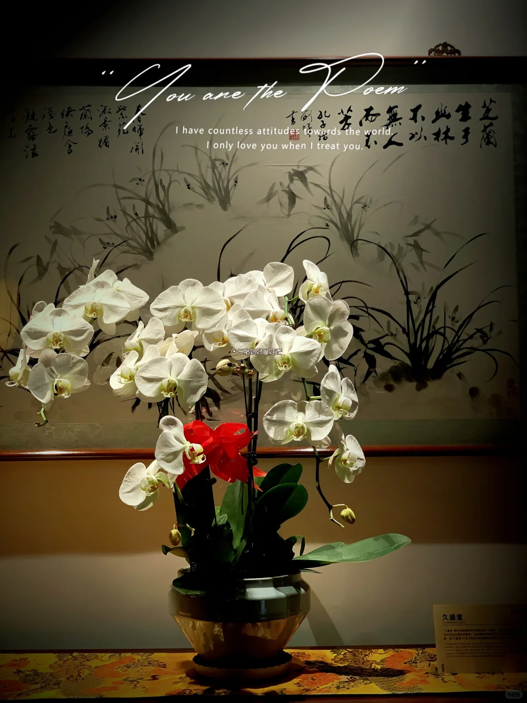 🔥呼市→大同一日游真香攻略！一家四口吃住篇