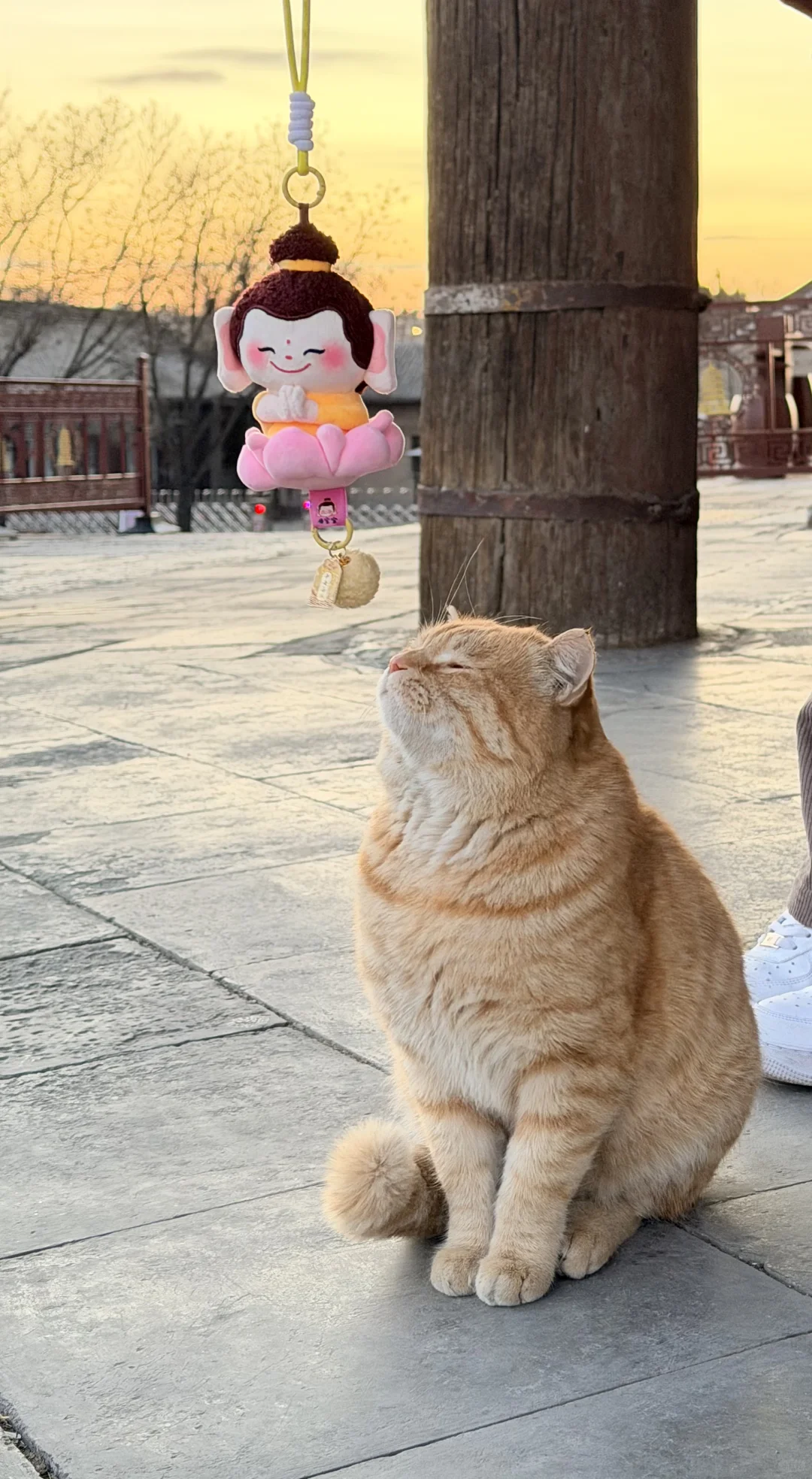 大同的三天，一场与历史的对话