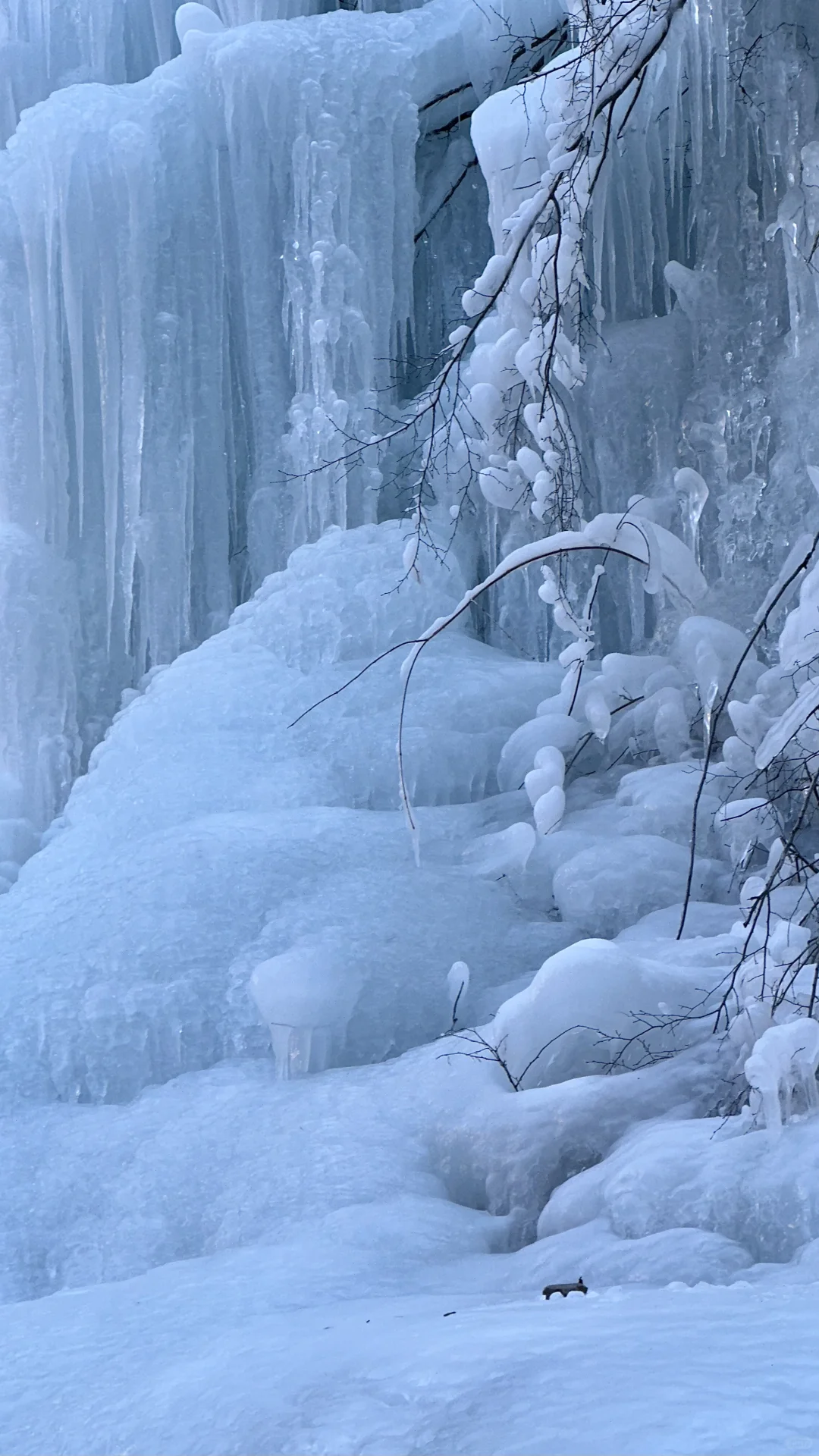 🧊到冰岛了/跟山西似的