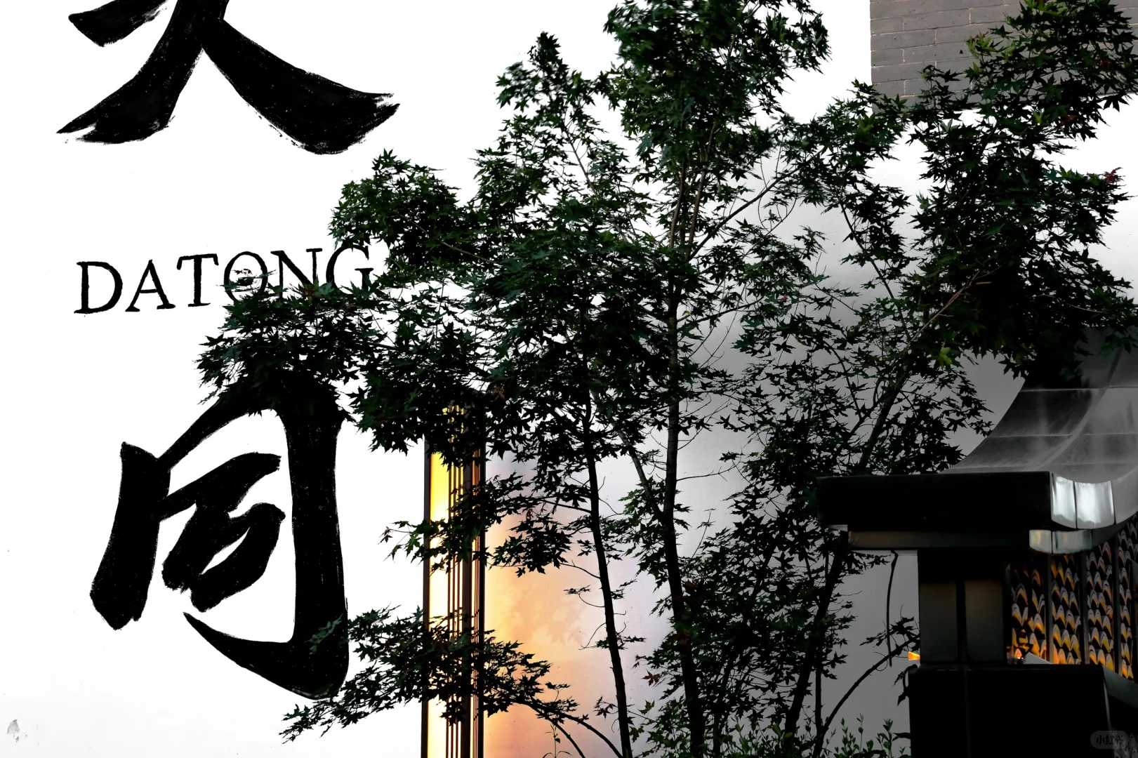 一个半小时在大同古城拍下了这些