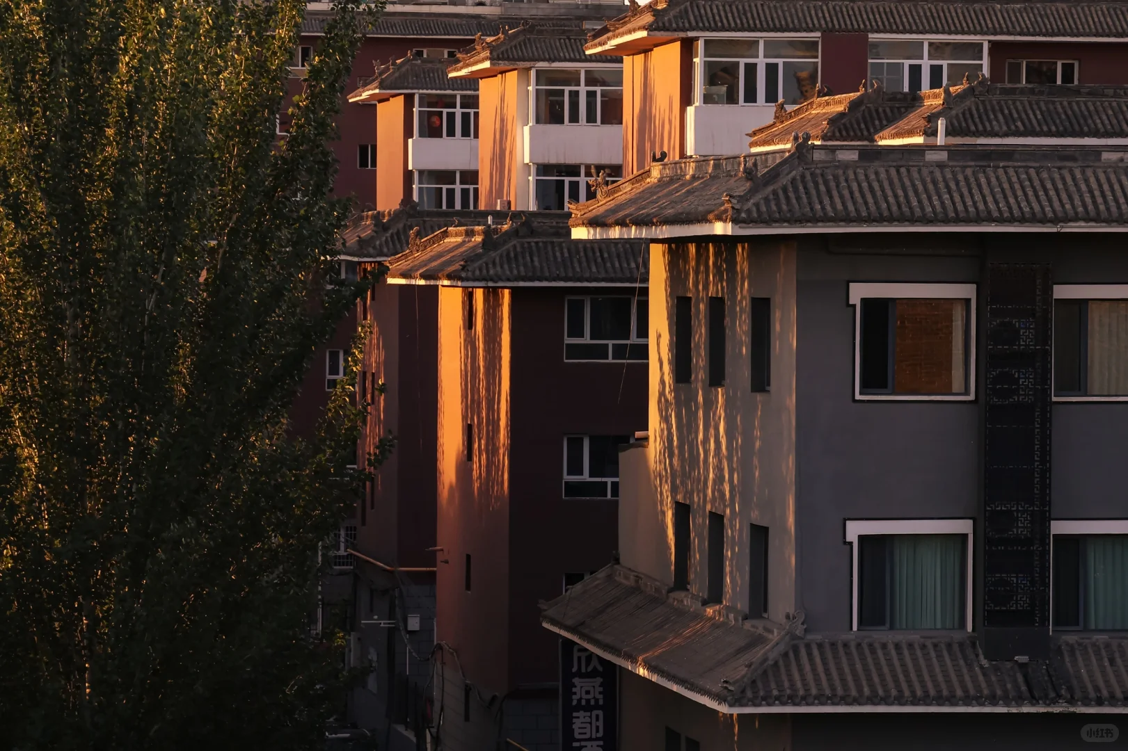 一个半小时在大同古城拍下了这些