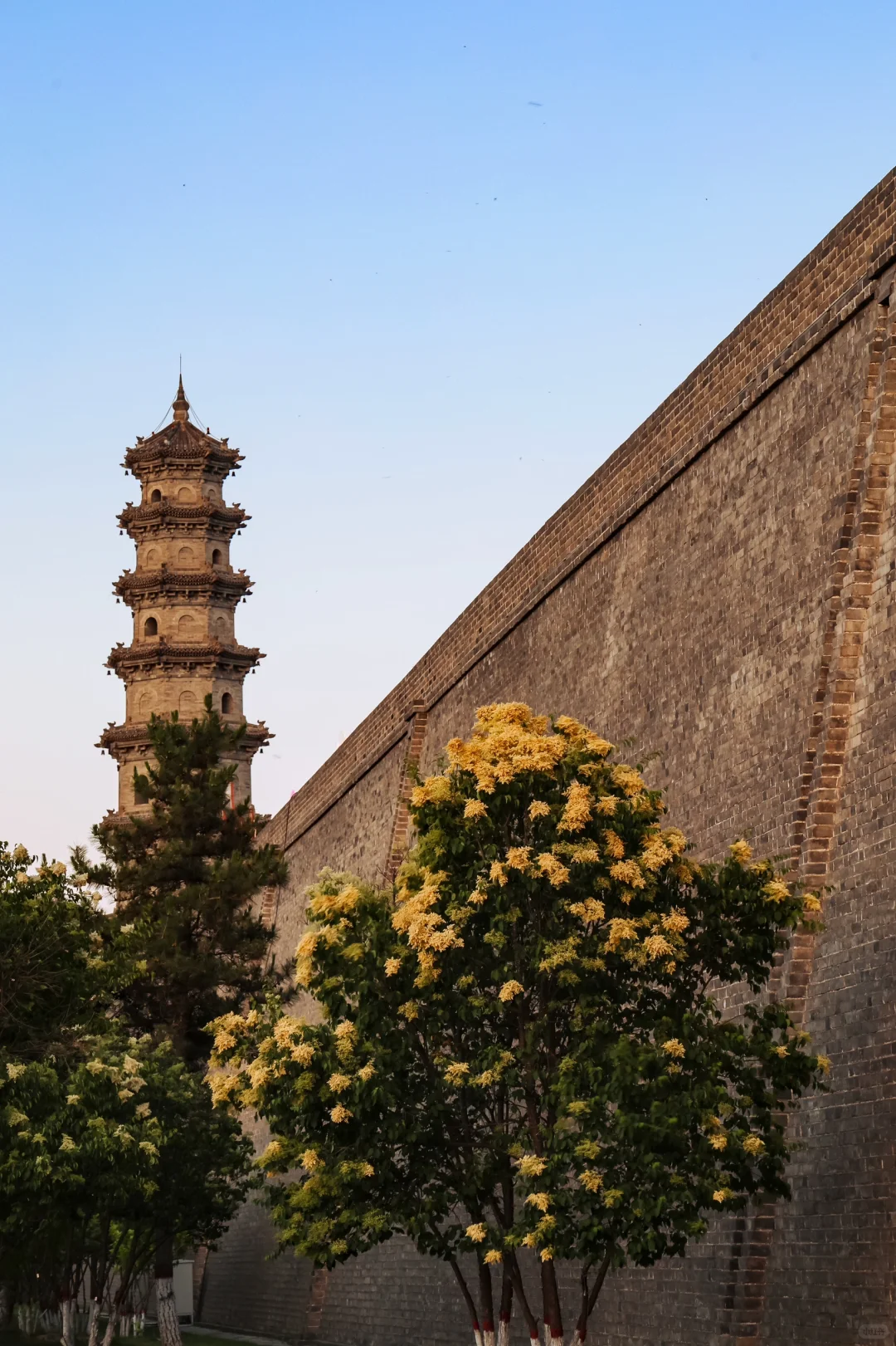 一个半小时在大同古城拍下了这些